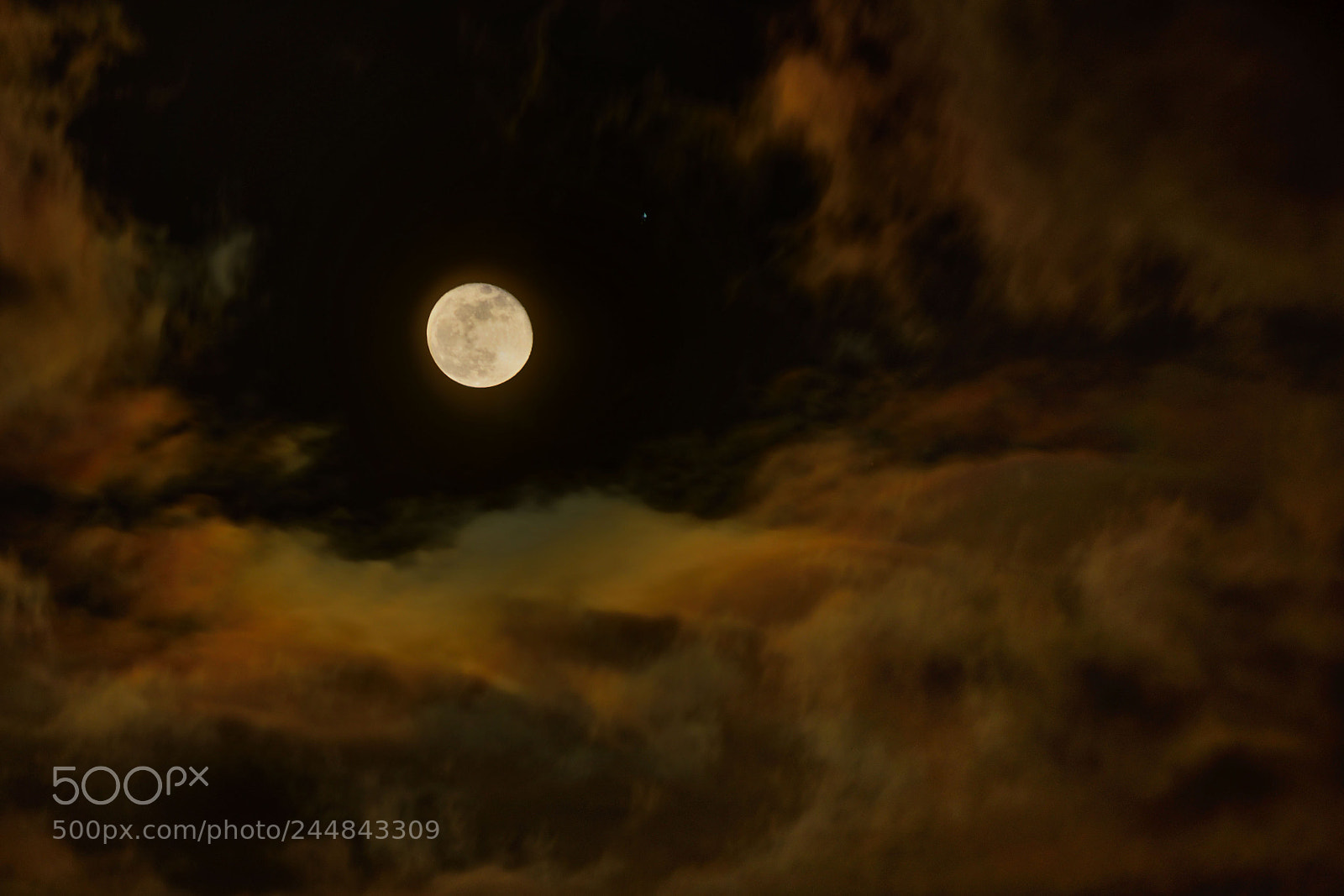 Nikon D500 sample photo. Moonlight photography