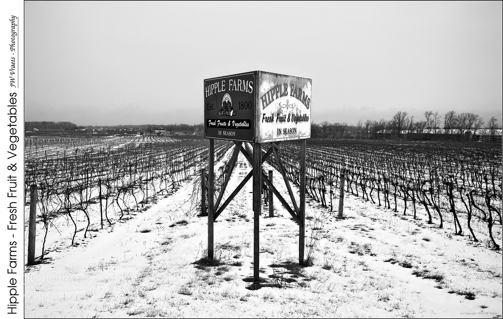 Nikon D7100 sample photo. Hipple farms fresh fruit photography