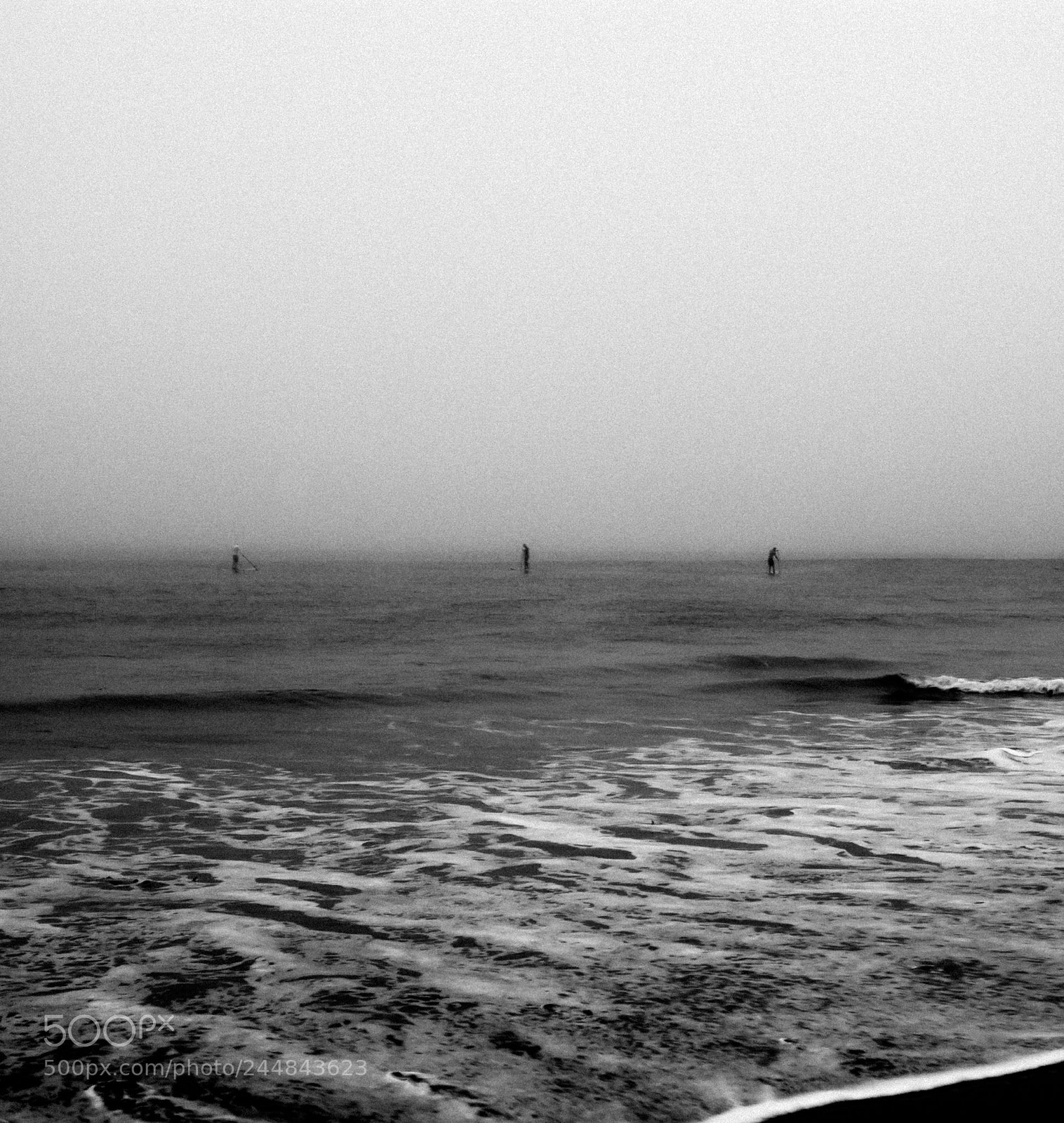 Nikon D7100 sample photo. Water walkers photography
