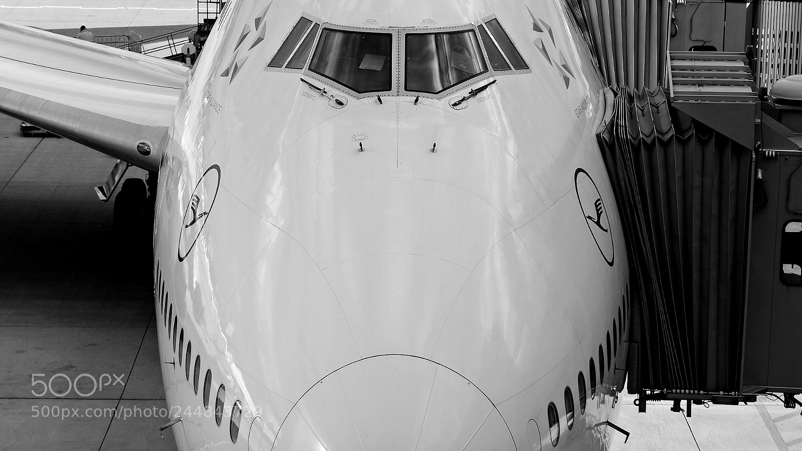 Fujifilm X-T2 sample photo. 49 years photography