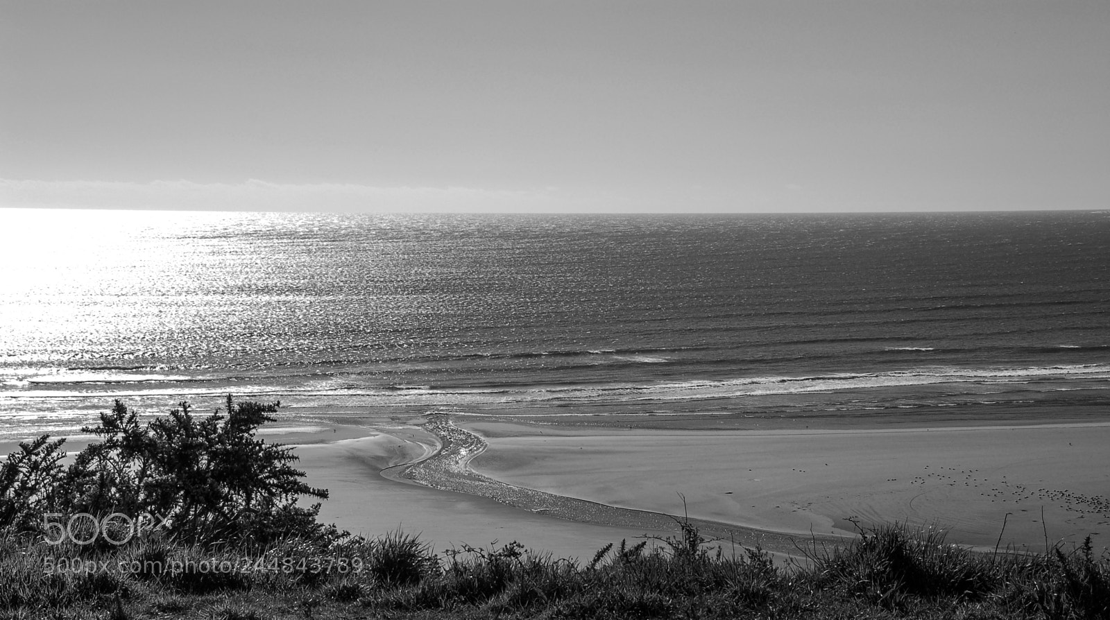 Nikon D50 sample photo. Nothing else needed... photography