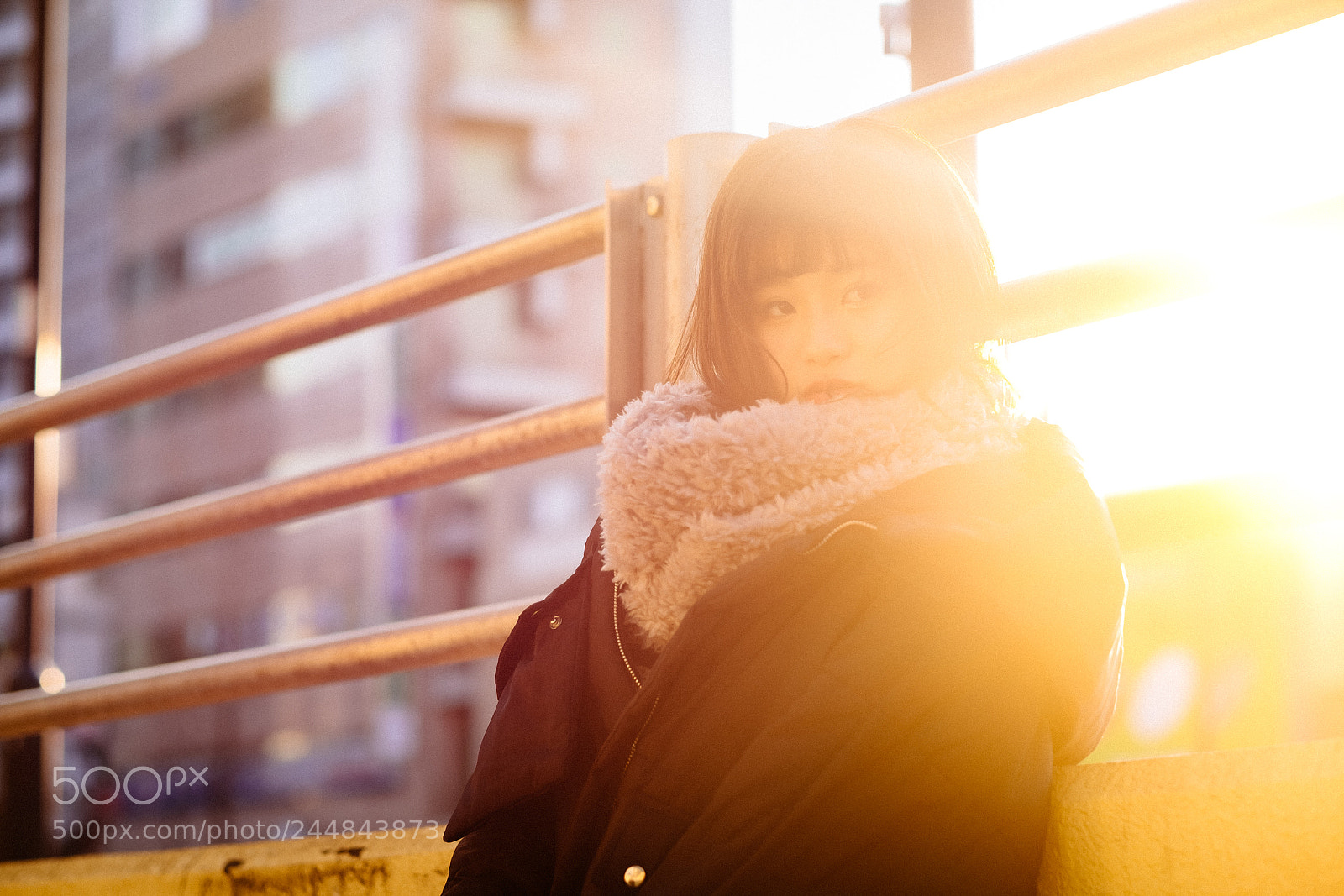 Fujifilm X-T2 sample photo. Untitled photography