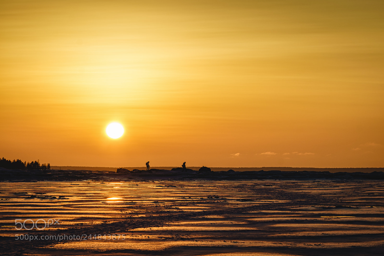Sony a7 II sample photo. Golden afternoon photography