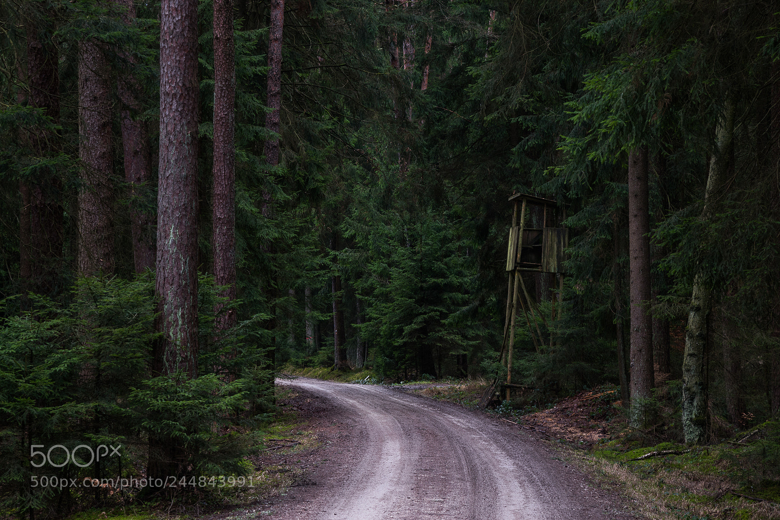 Nikon D610 sample photo. Hunter seat photography