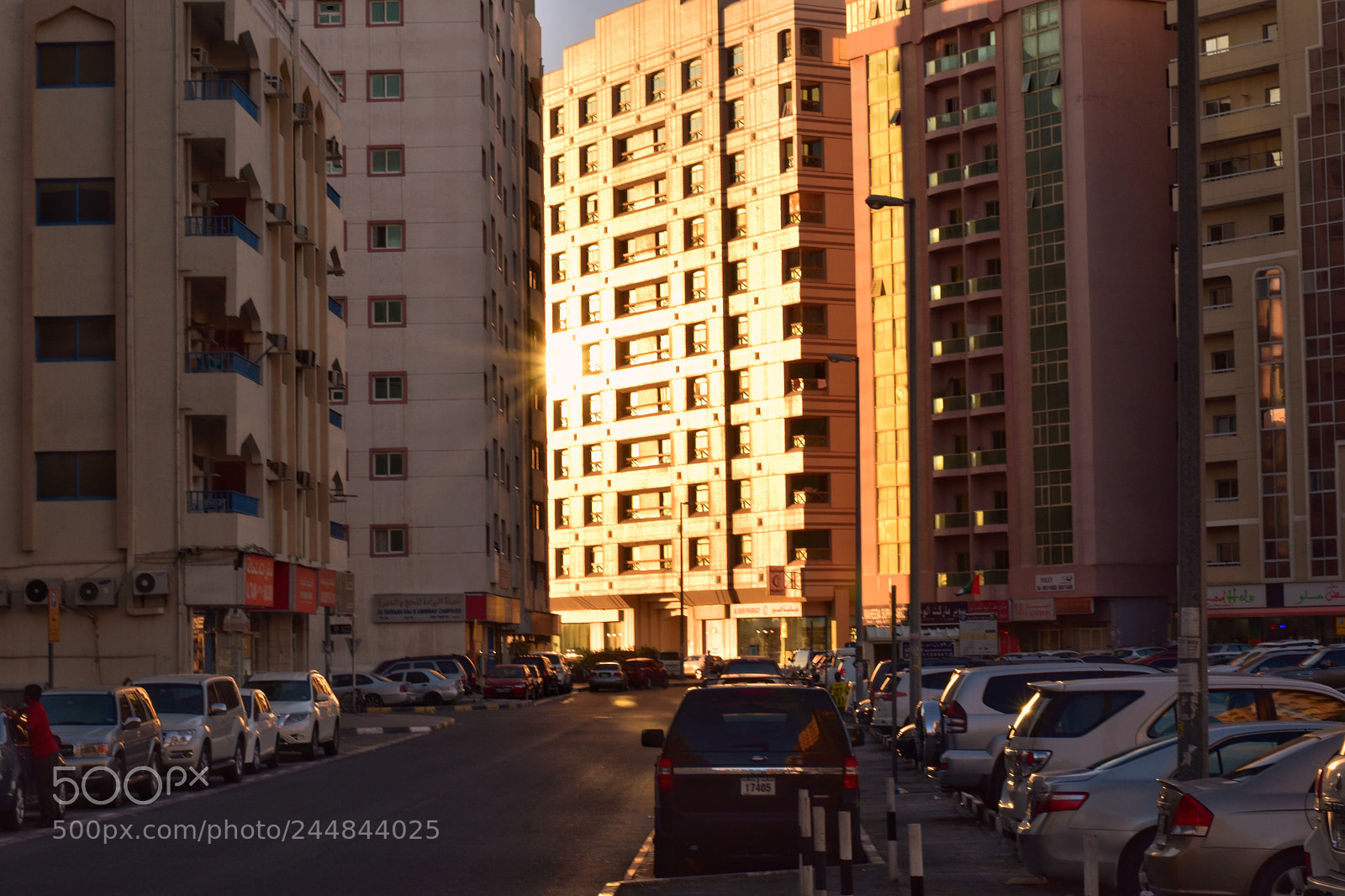 Nikon D5500 sample photo. Untitled photography
