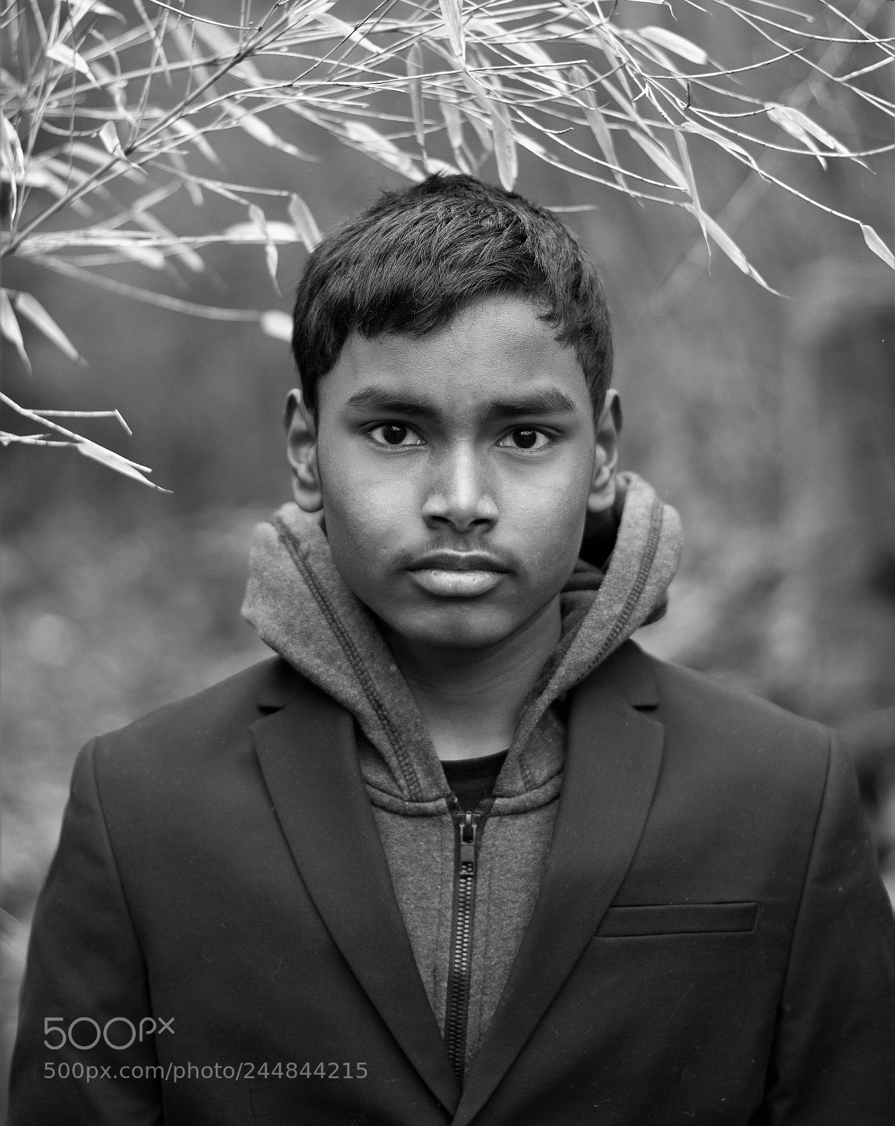 Nikon D500 sample photo. The son... photography