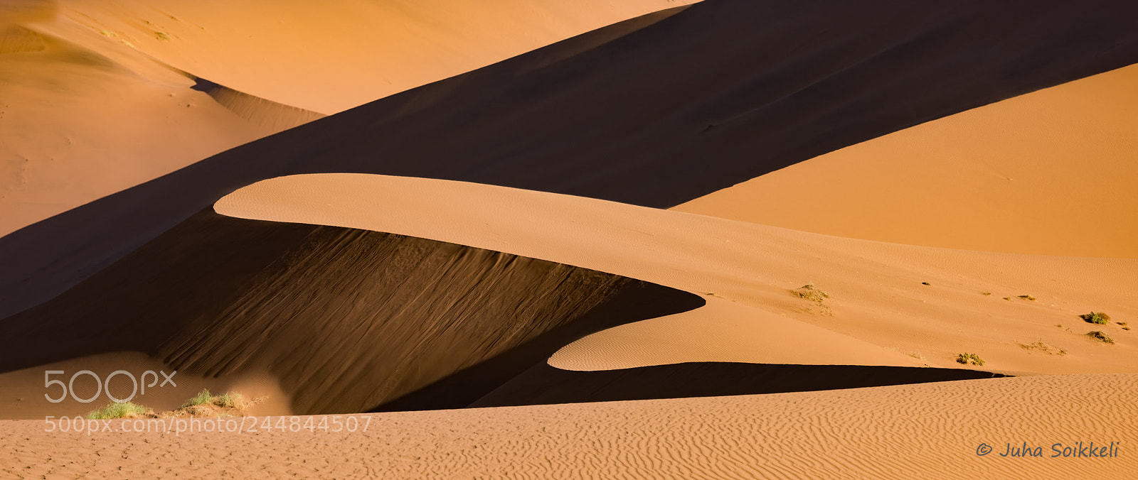 Nikon D810 sample photo. Shades of namib desert photography