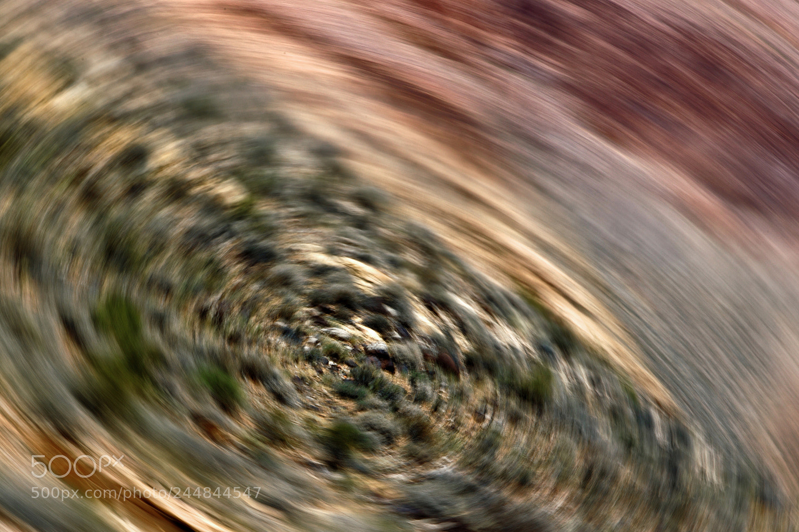 Canon EOS-1D Mark IV sample photo. Circle in nature photography