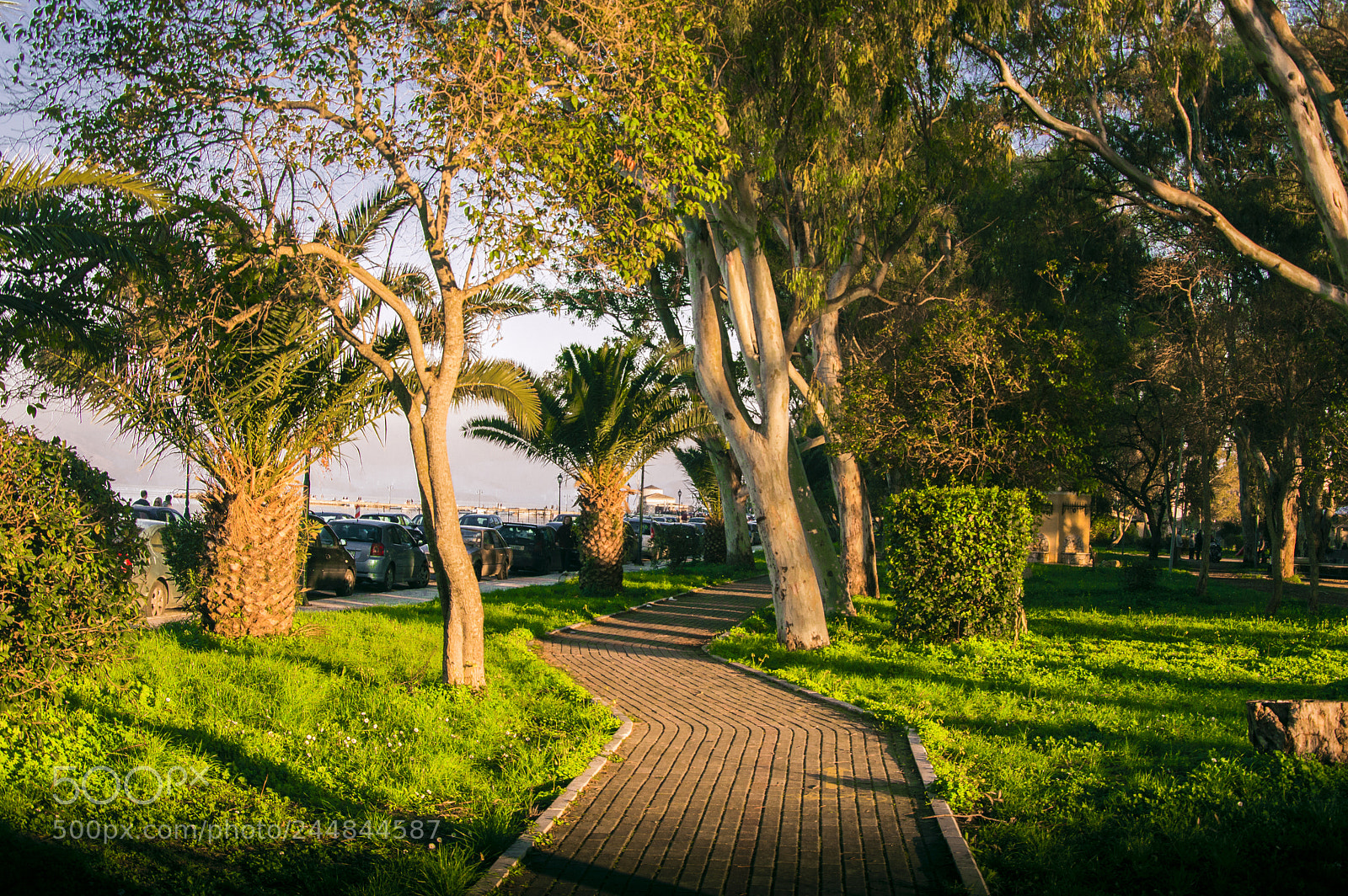 Nikon D3200 sample photo. Greenpath photography