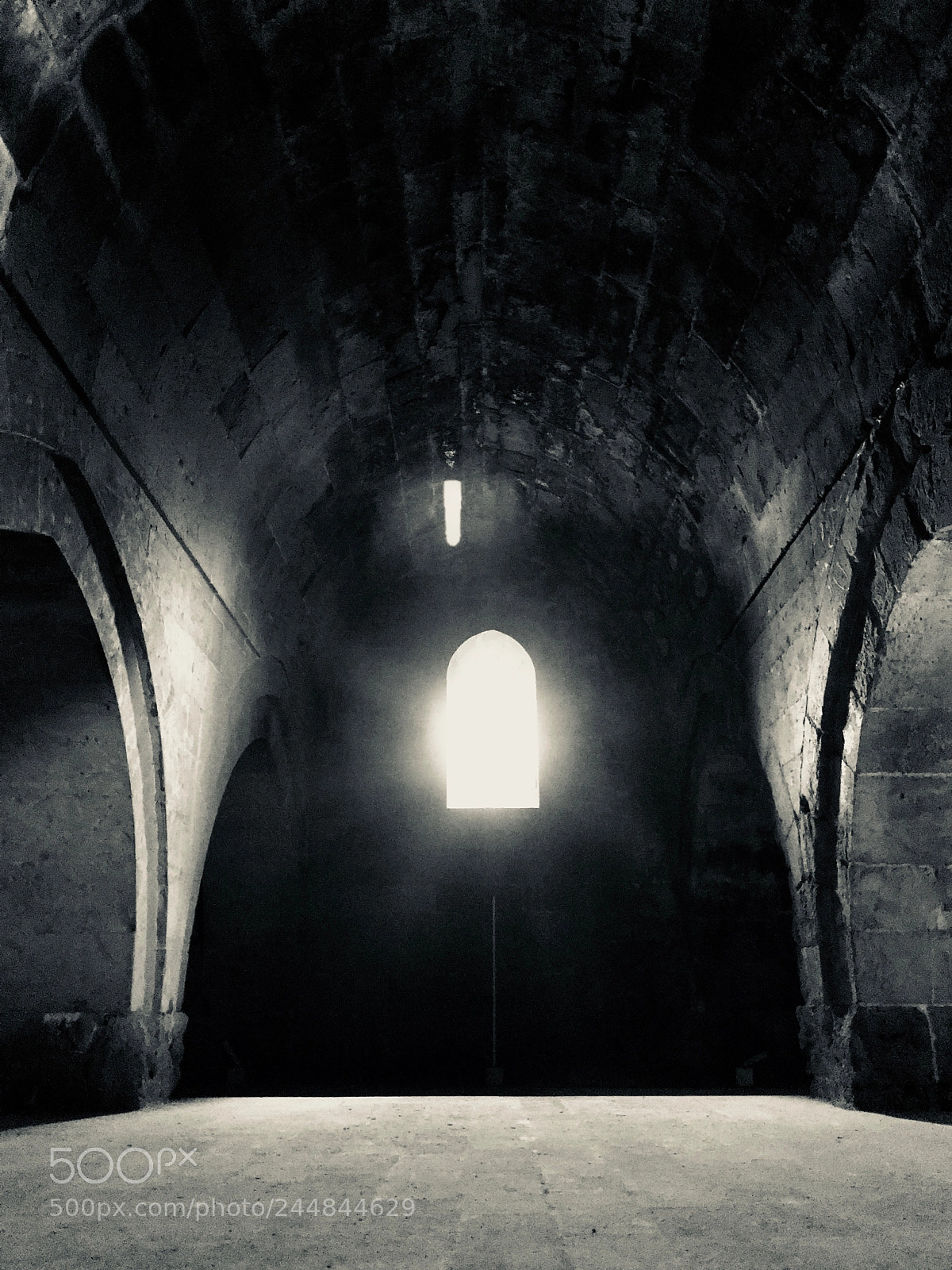 Apple iPhone 7 sample photo. Untitled photography