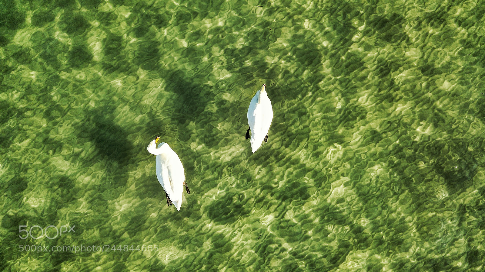 DJI FC220 sample photo. Untitled photography