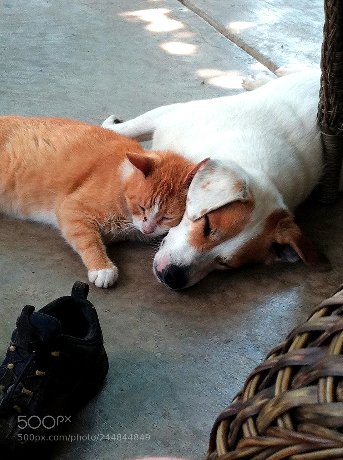 Apple iPhone 4 sample photo. Naptime photography