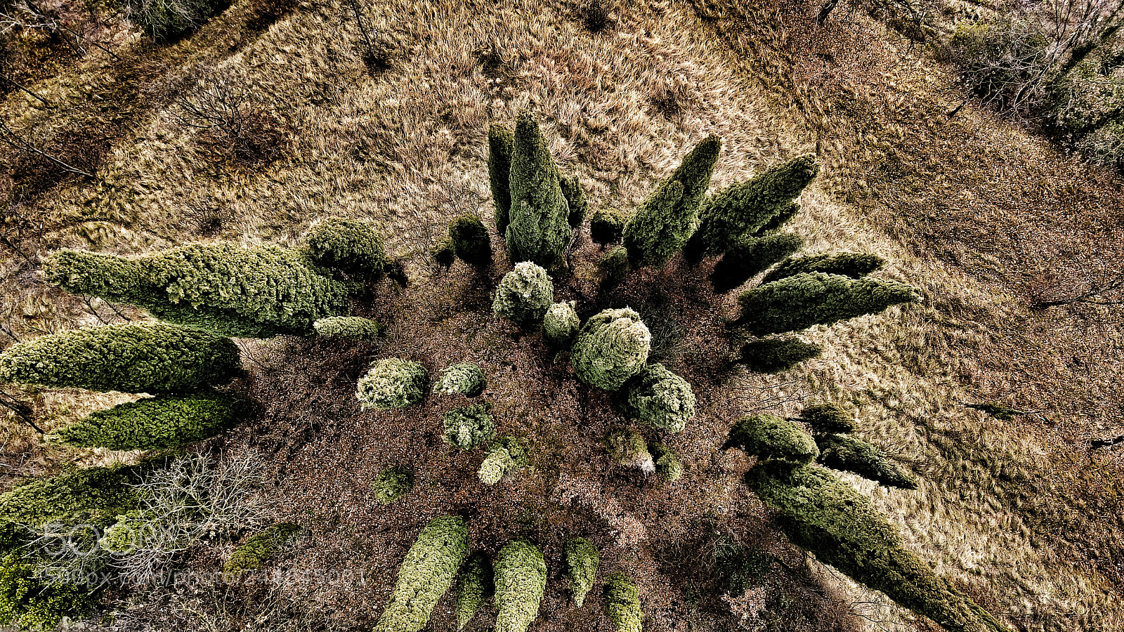 DJI FC220 sample photo. Untitled photography