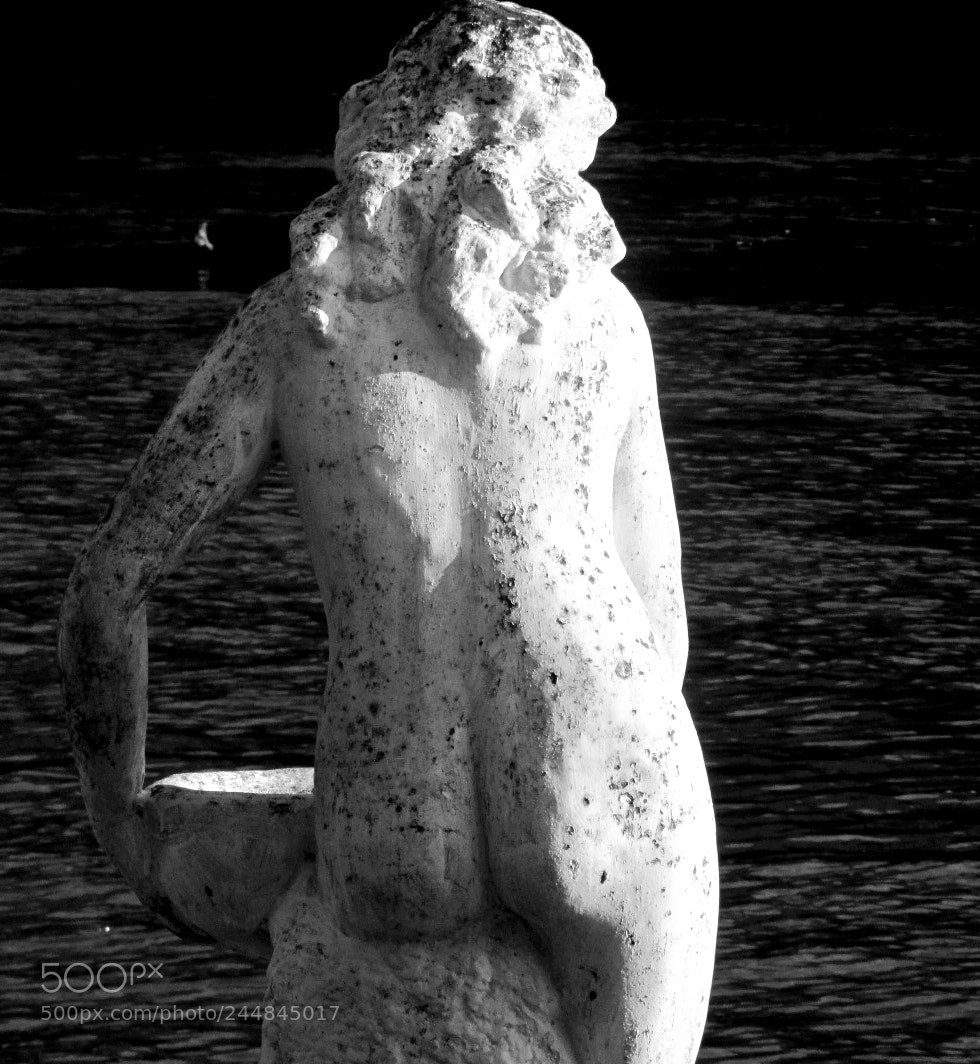 Canon PowerShot SX500 IS sample photo. Venus pb photography
