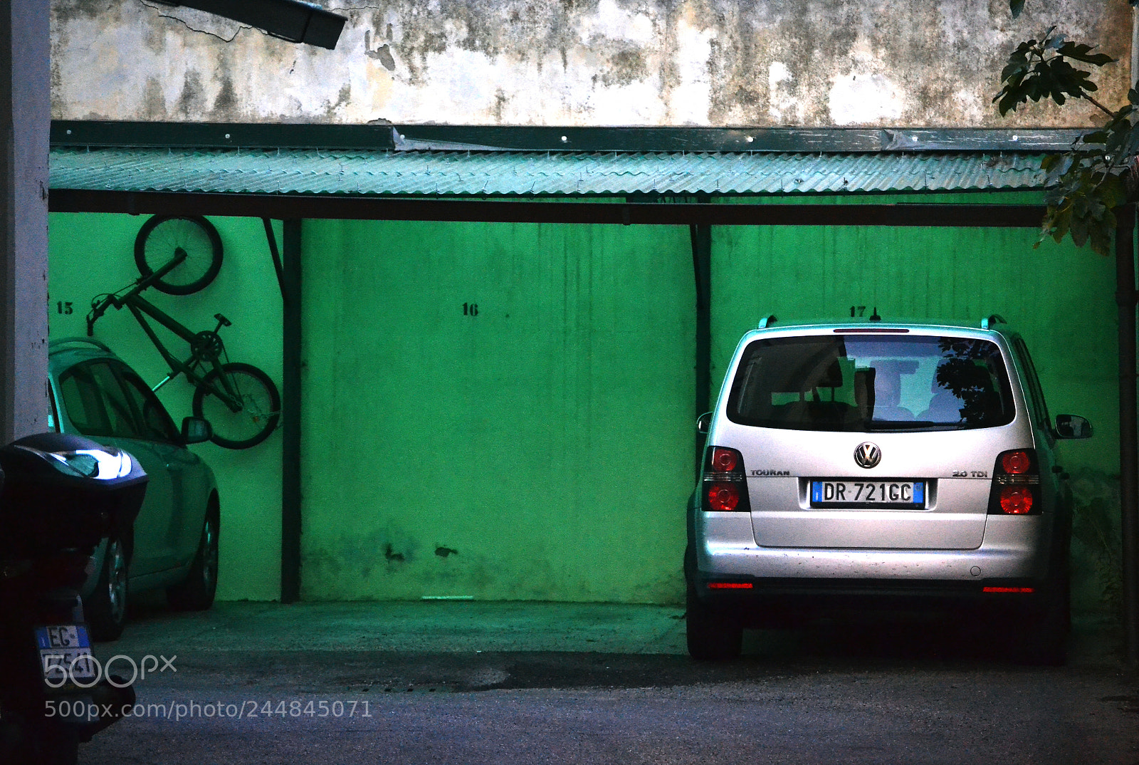 Nikon D3100 sample photo. Untitled photography