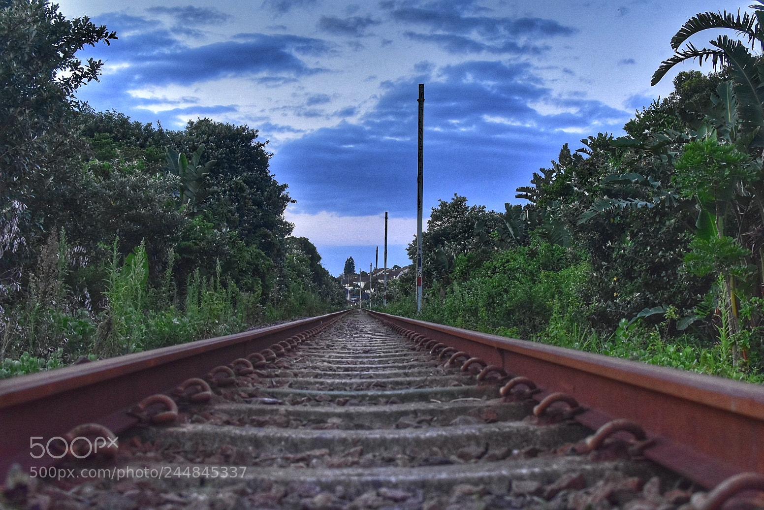 Nikon D7200 sample photo. Going nowhere or somewhere photography