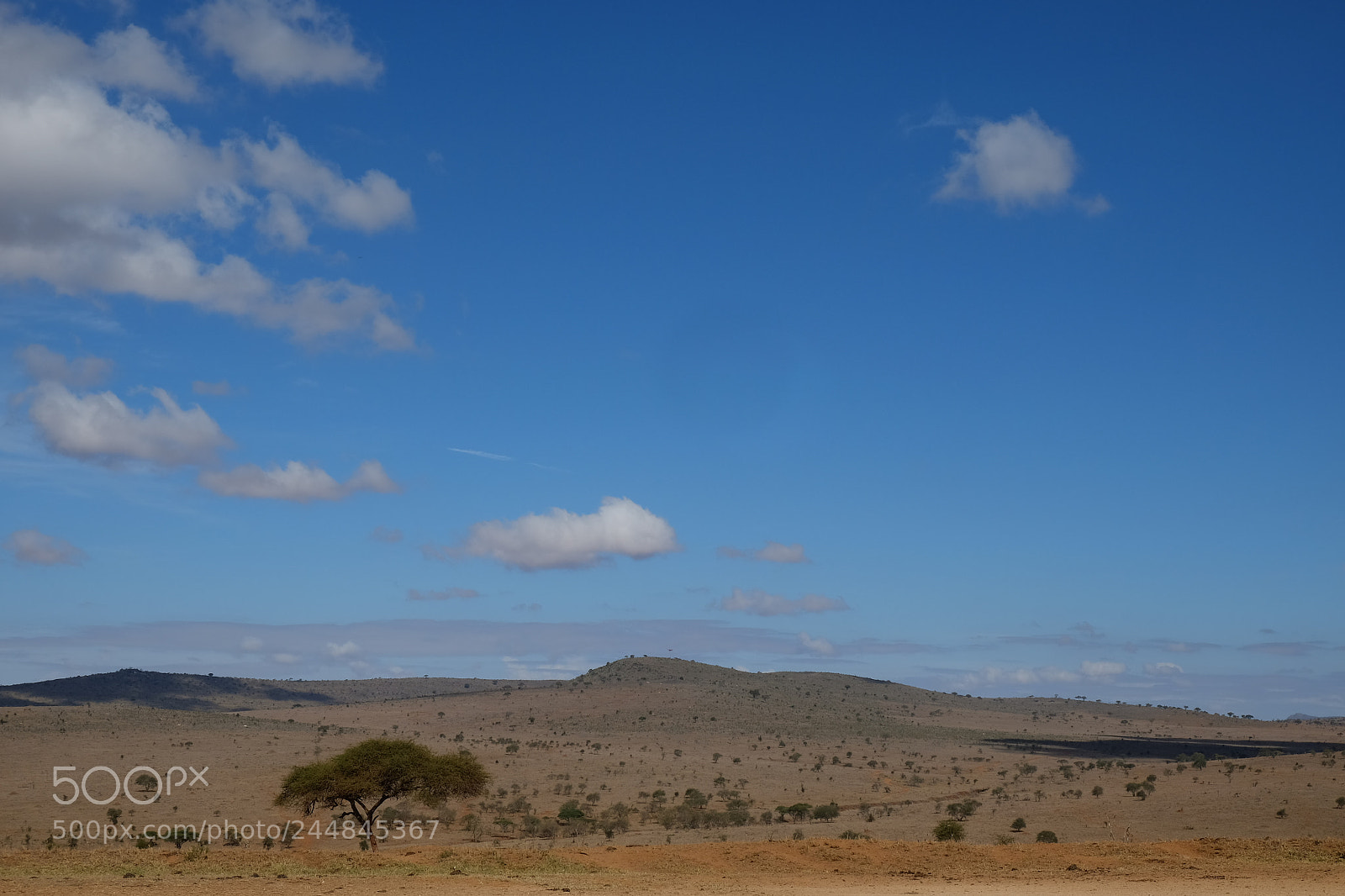 Fujifilm X-E2S sample photo. Kenya photography