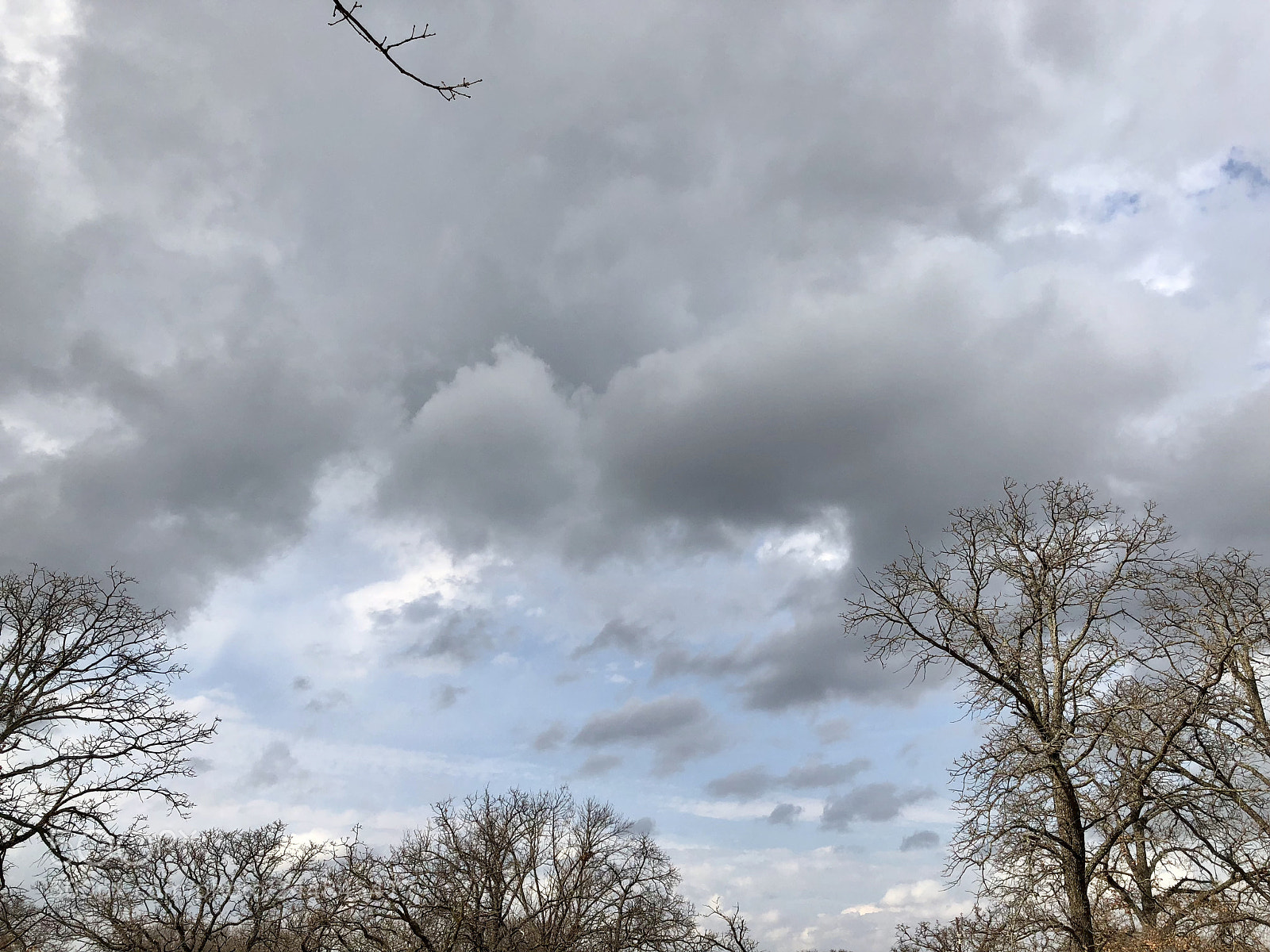 Apple iPhone X sample photo. Rain coming photography