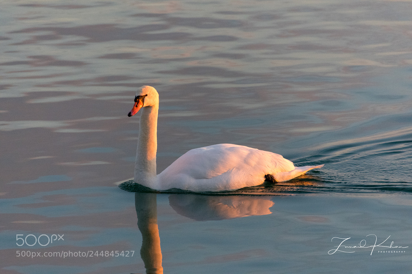 Nikon D3400 sample photo. Reflection photography
