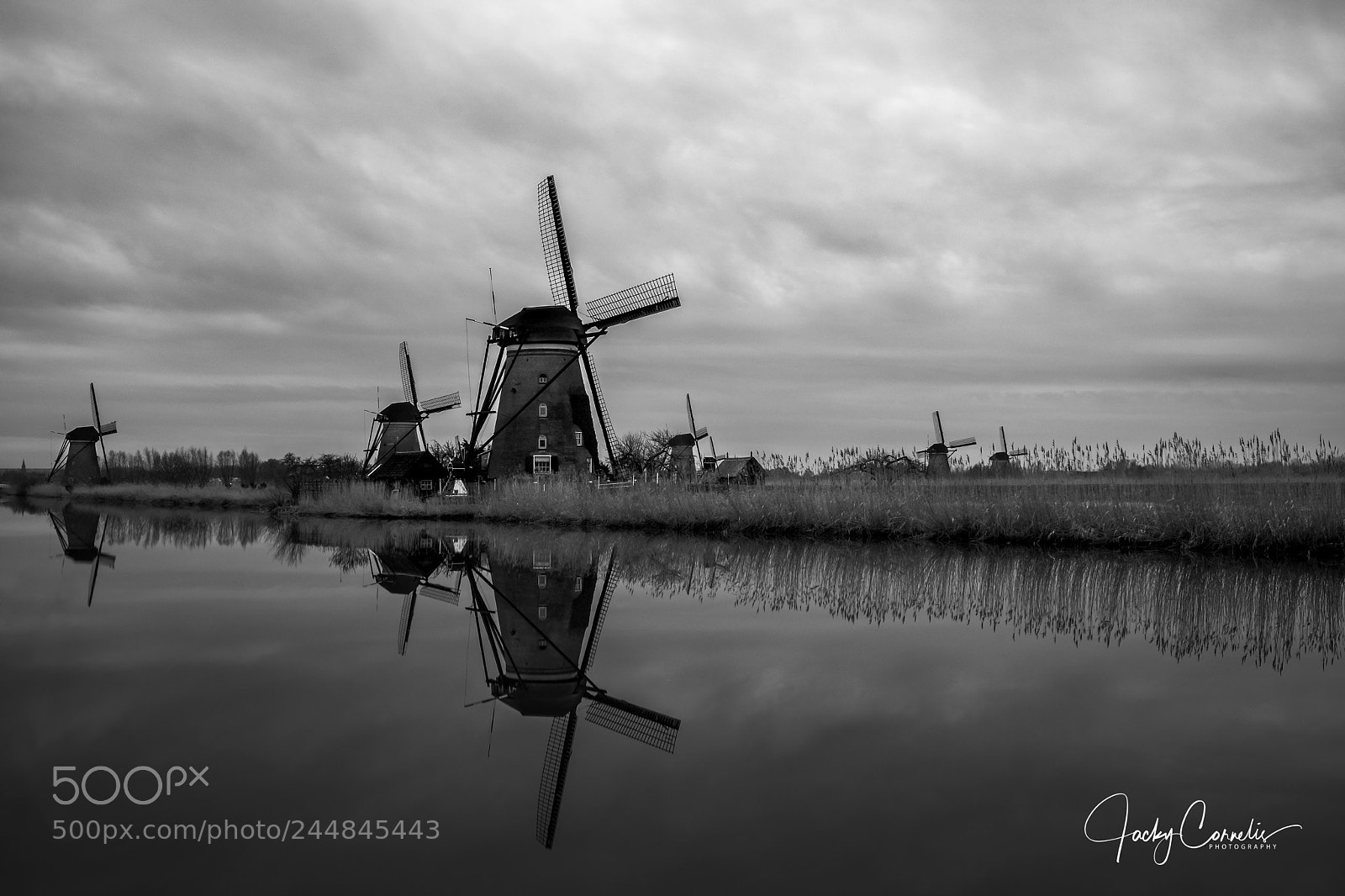Fujifilm X-T2 sample photo. Kinderdijk nog meer molens photography