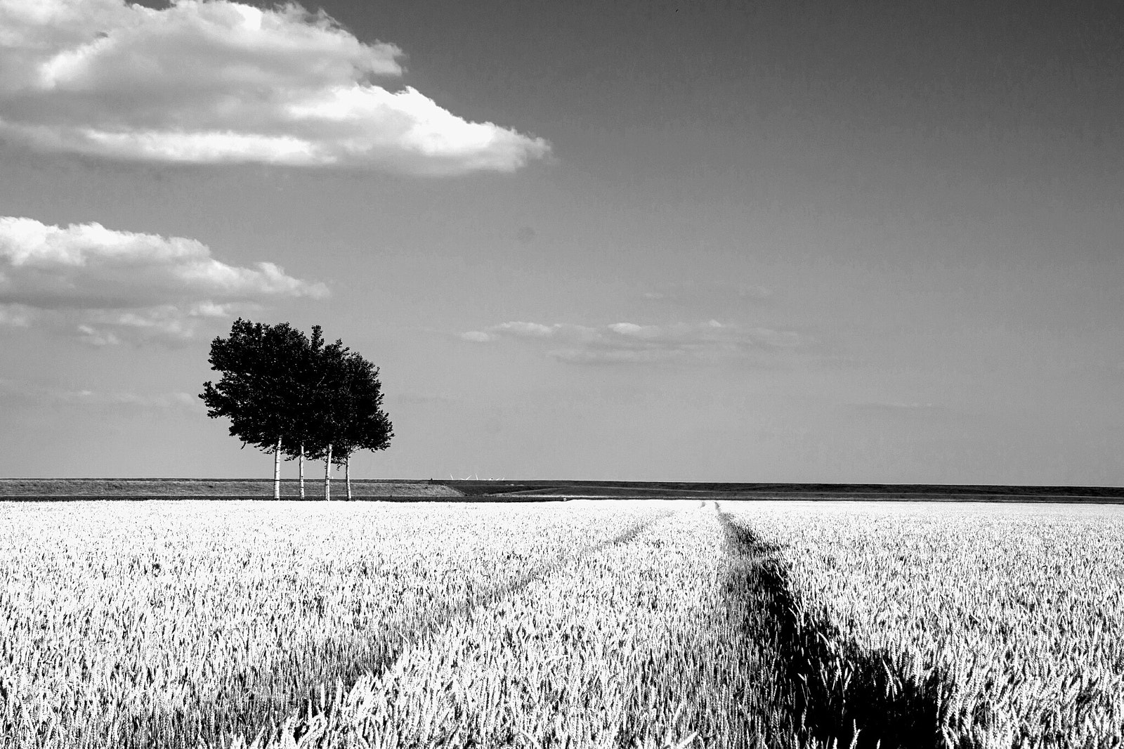 Sony SLT-A99V sample photo. Black and white photography