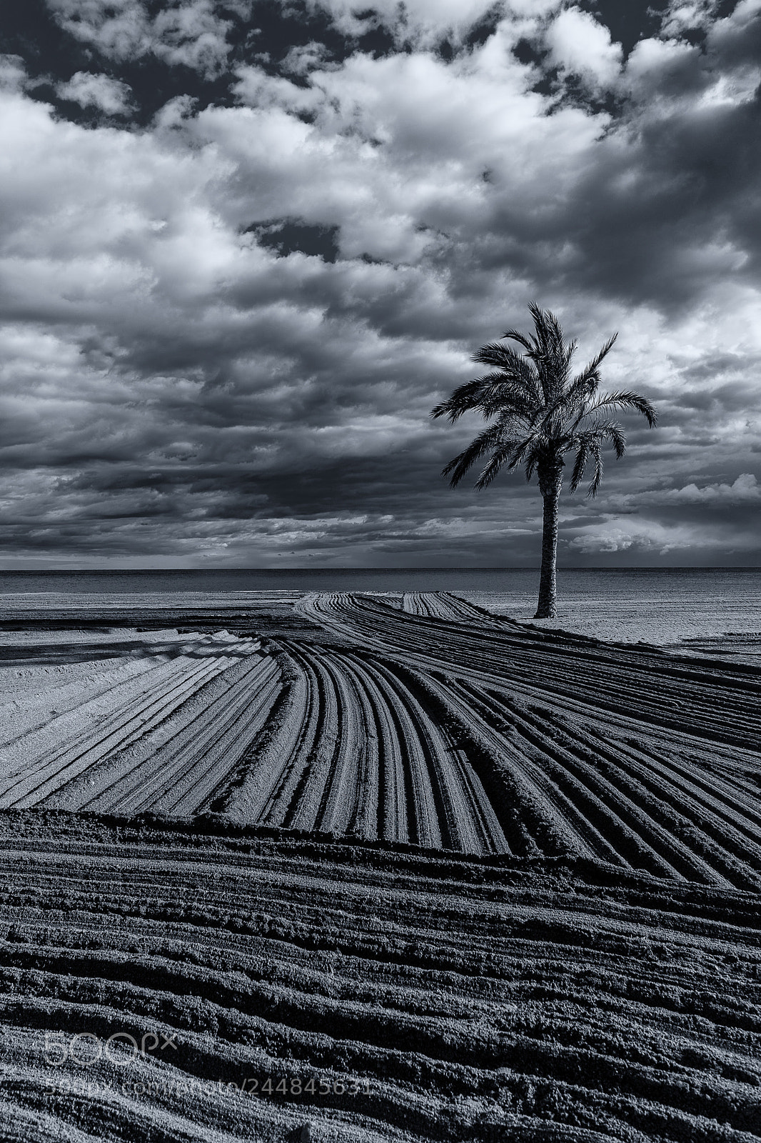 Sony a7 II sample photo. Playa arada photography