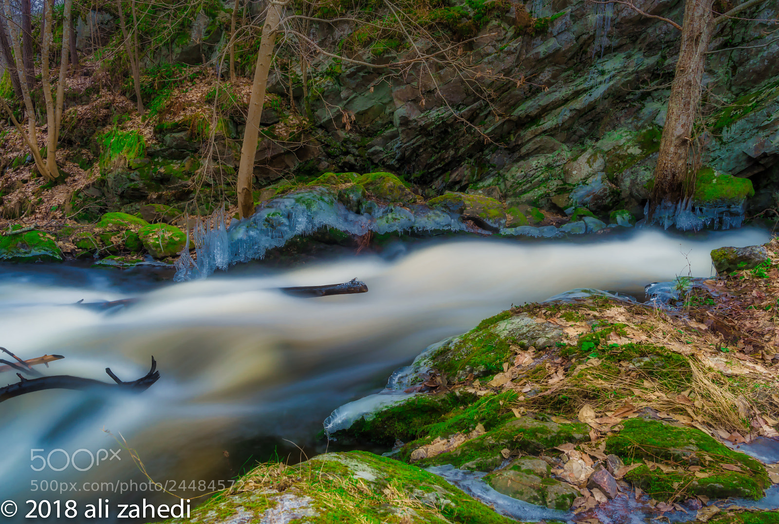 Nikon D810 sample photo. Baduary photography