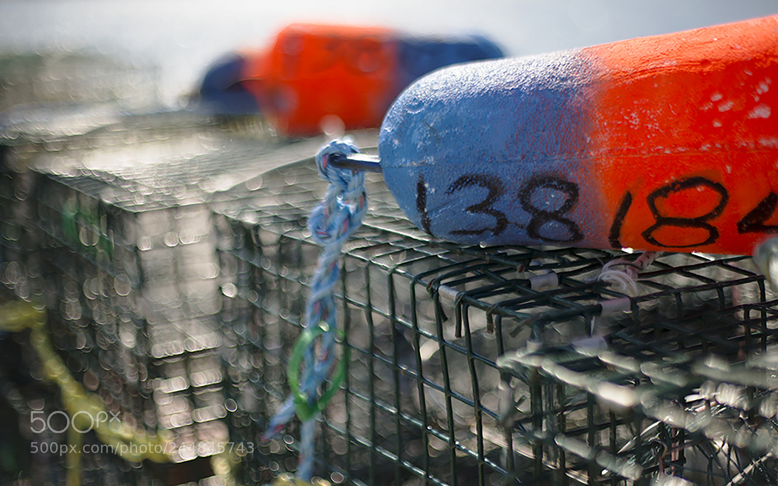 Canon EOS-1D X sample photo. Ready on the wharf photography