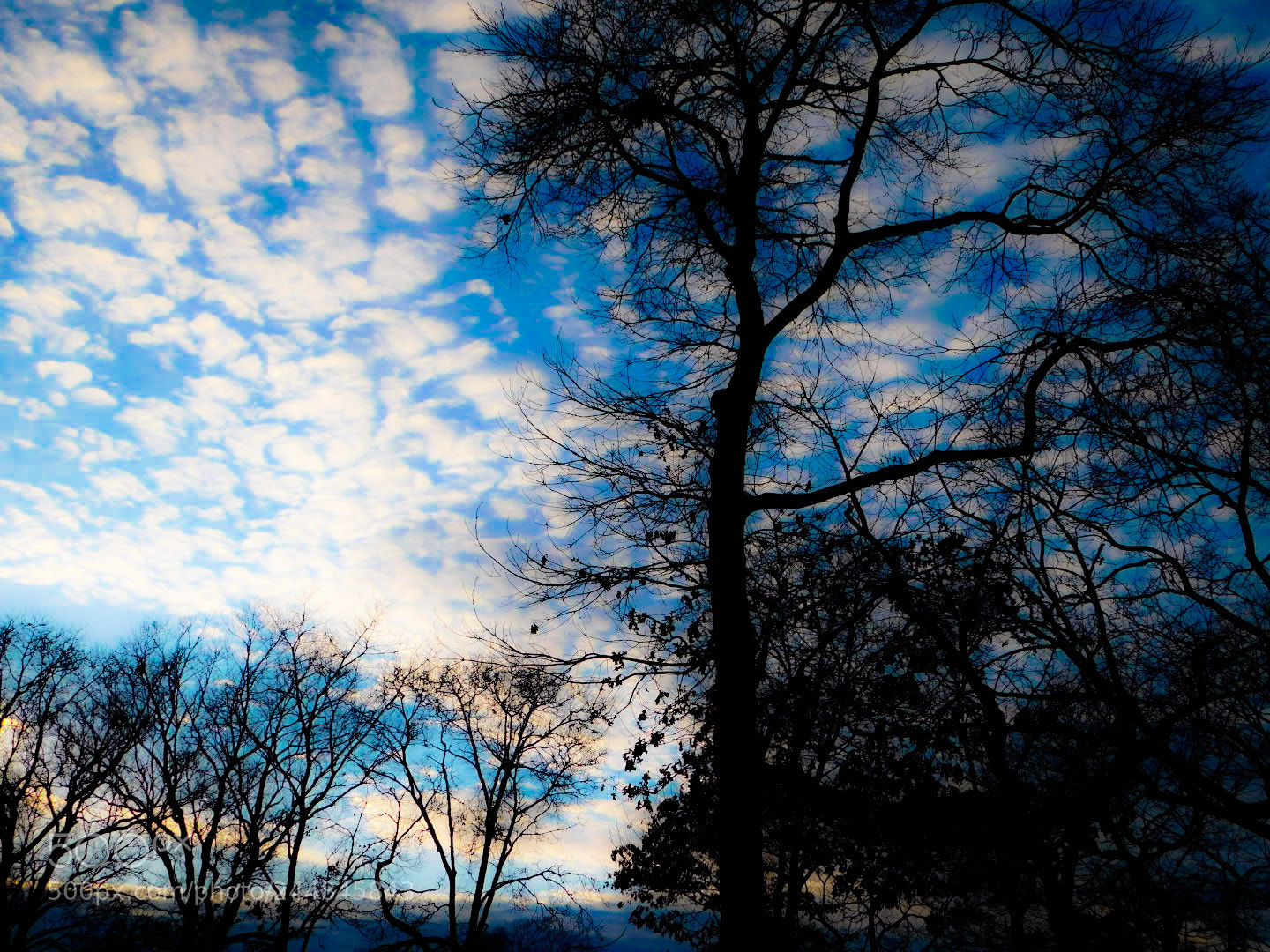 Nikon Coolpix B500 sample photo. Half light & half dark photography