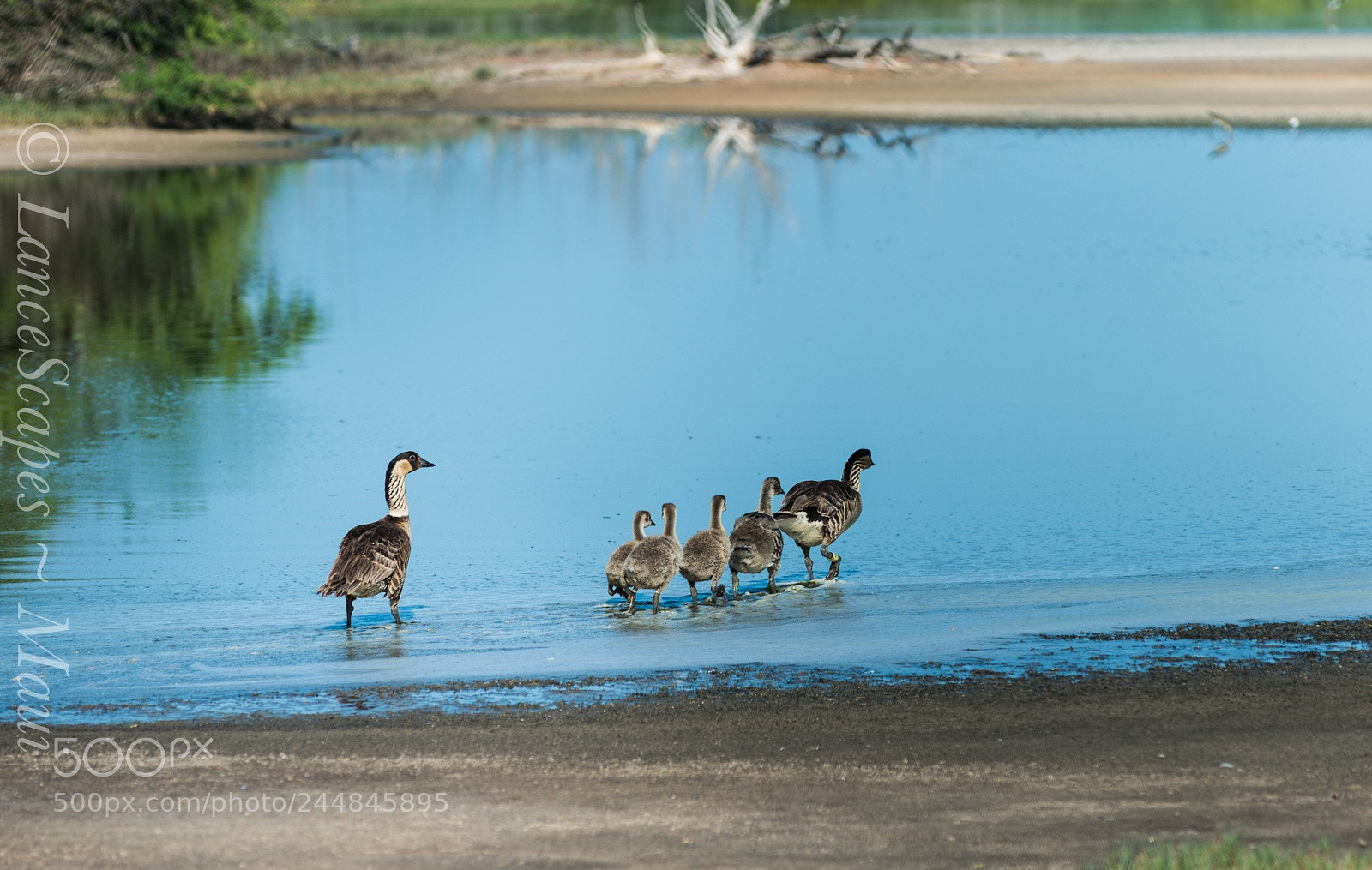 Nikon D810 sample photo. Untitled photography