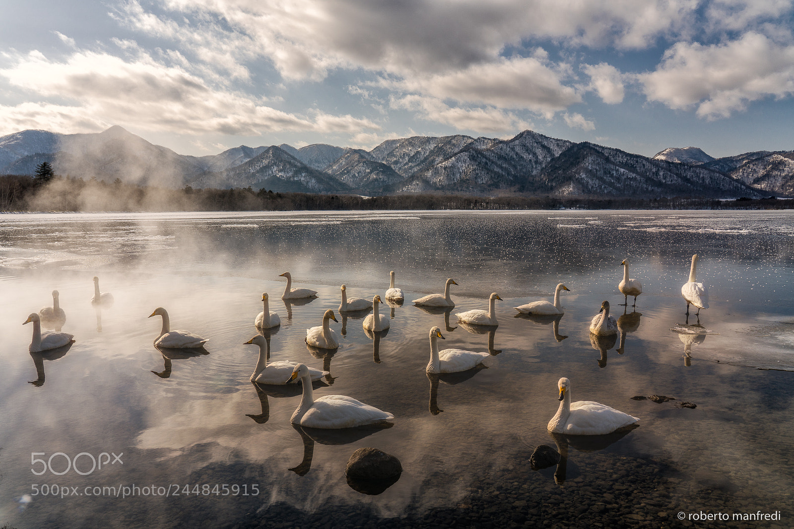 Sony a7R II sample photo. The swan lake photography