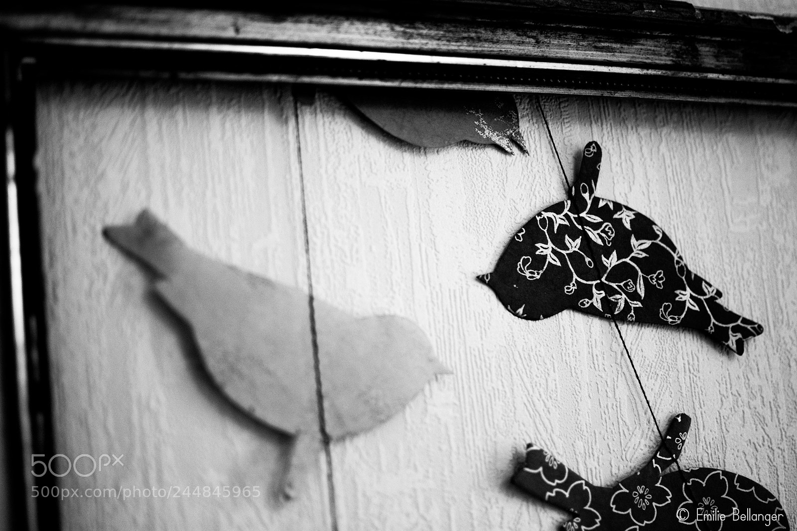 Nikon D7100 sample photo. Sans-titre photography
