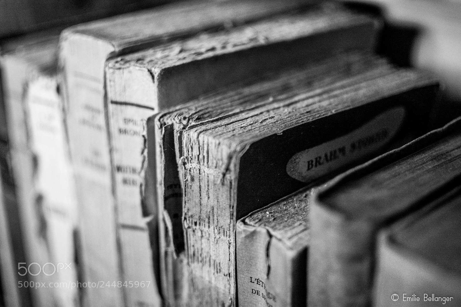 Nikon D7100 sample photo. Sans-titre photography