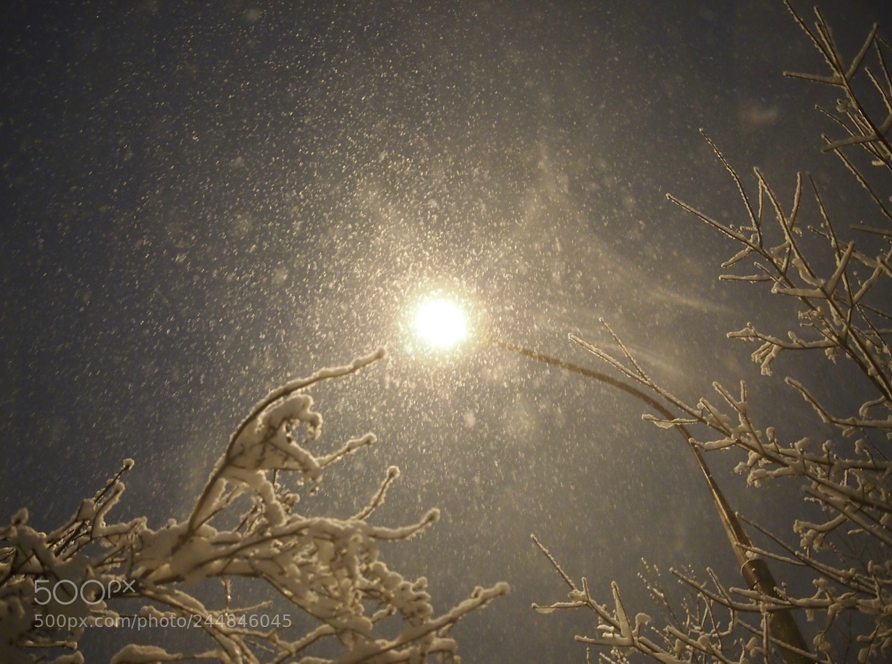 Olympus PEN E-PL3 sample photo. Night sun photography