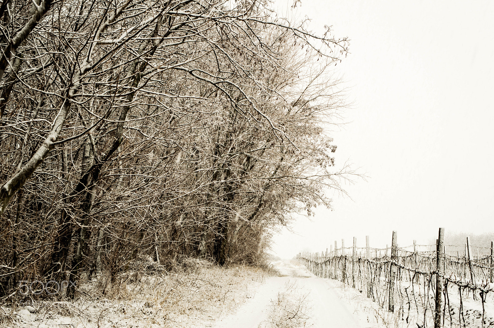 Nikon D3200 sample photo. Silence photography
