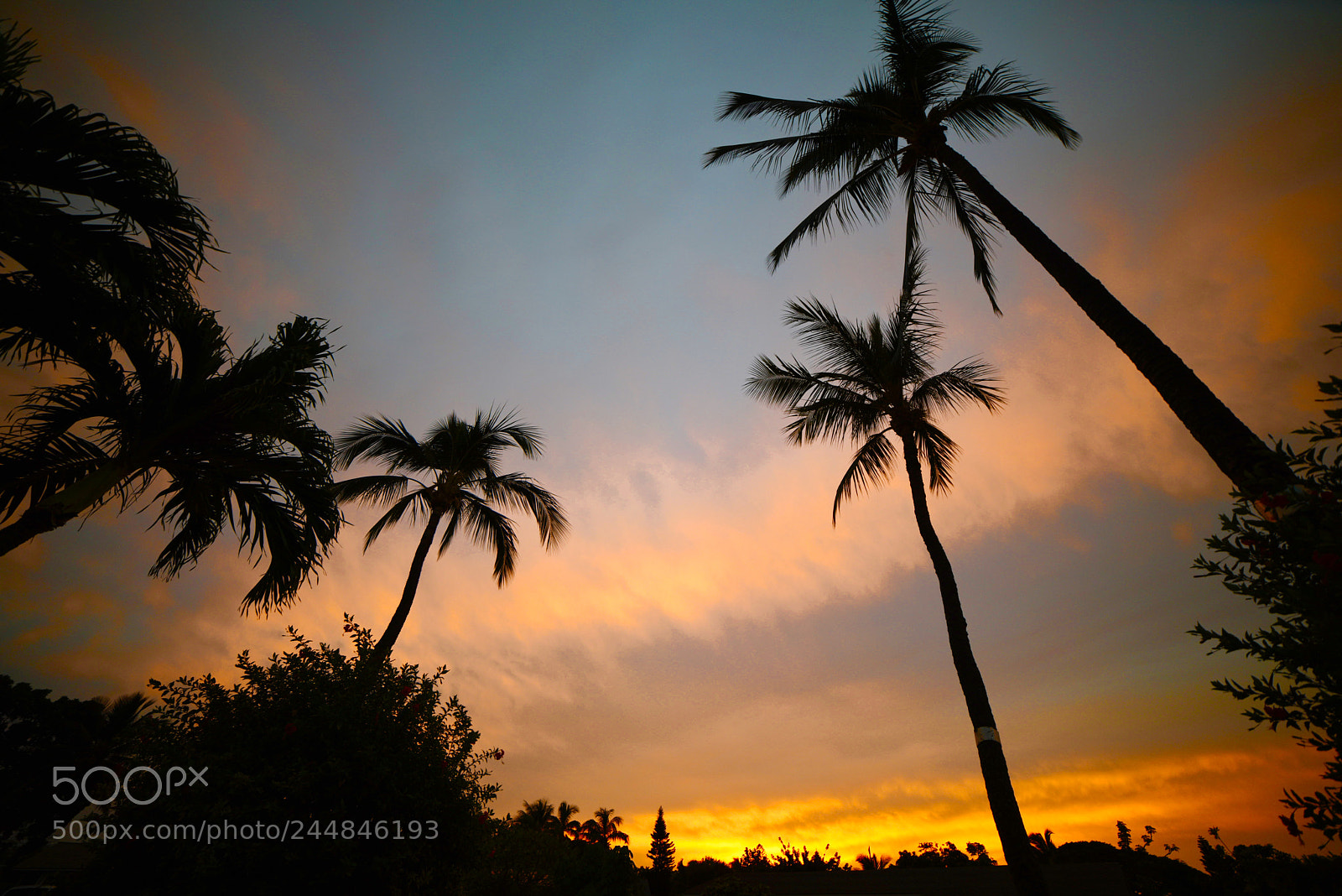 Nikon D810 sample photo. Untitled photography