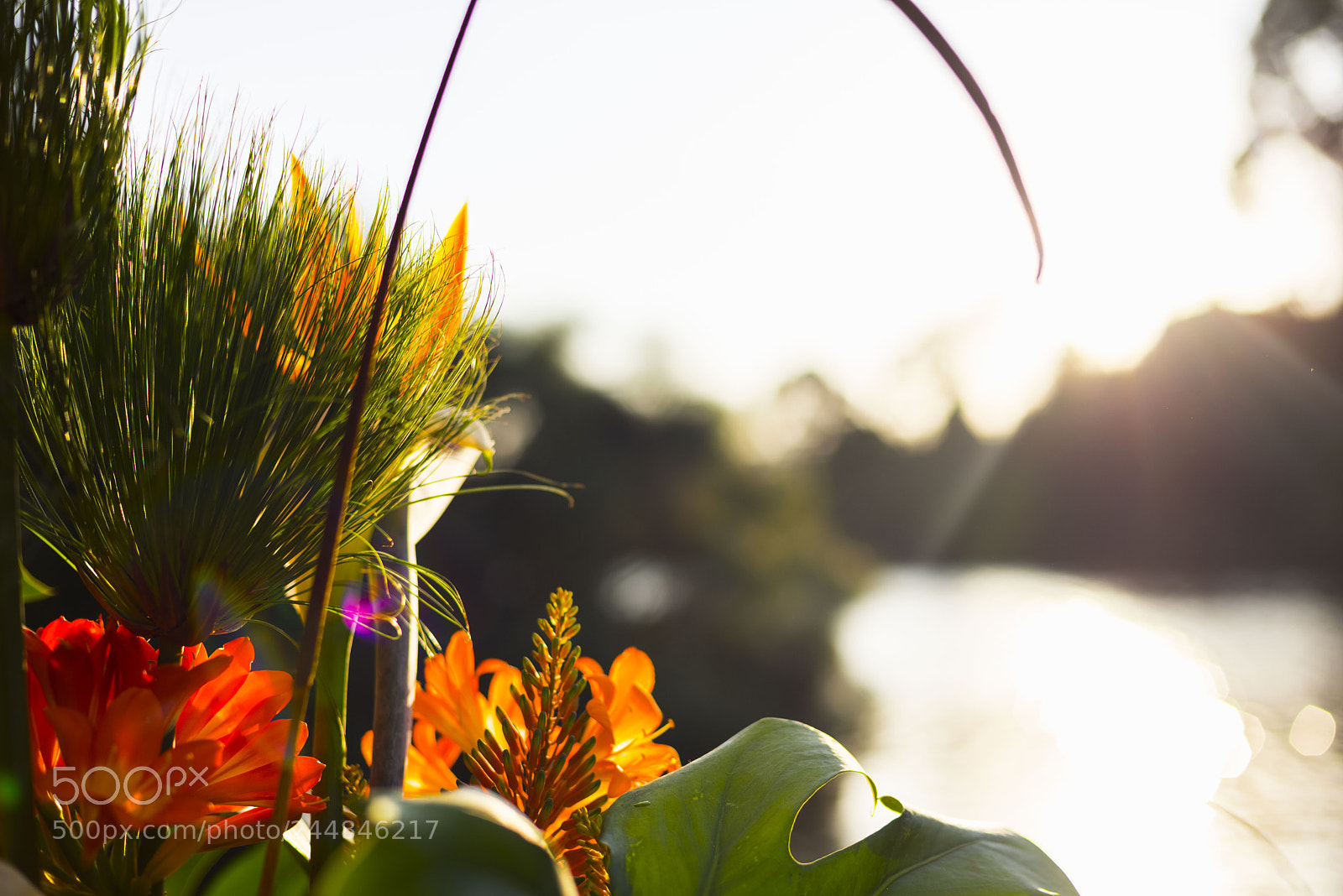 Nikon D810 sample photo. Warmth photography