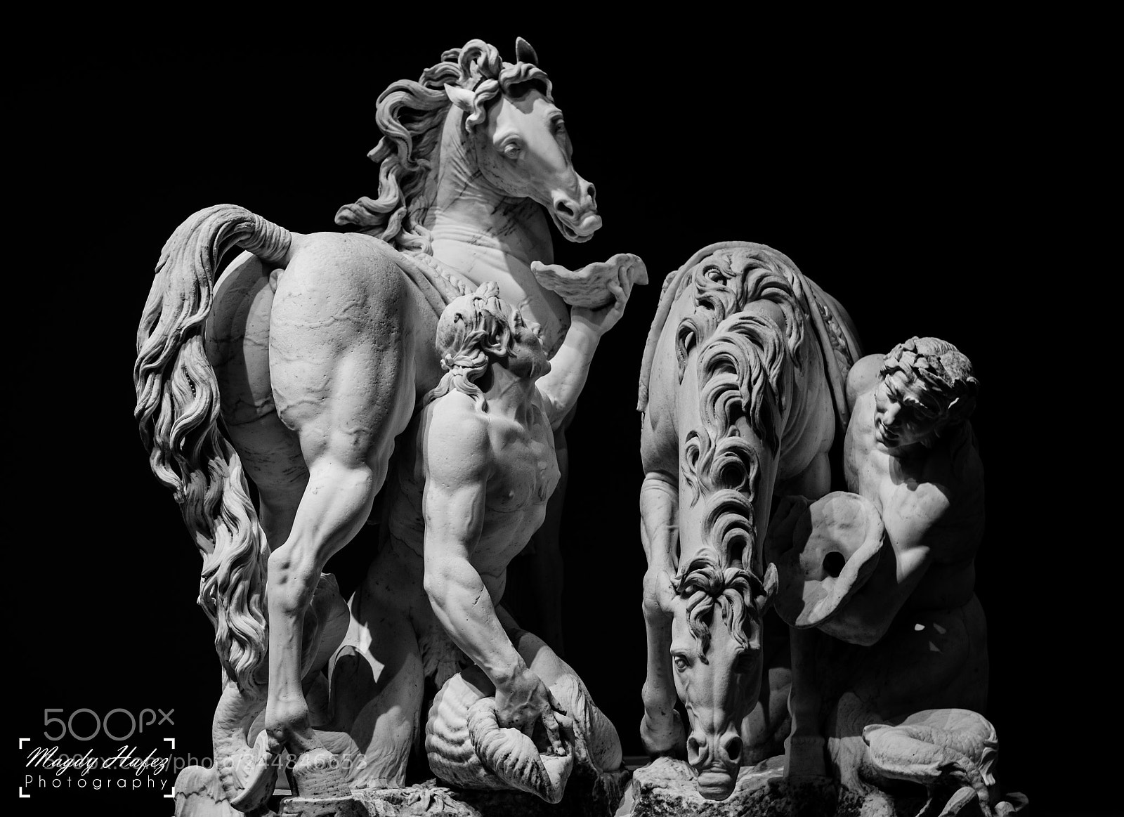 Nikon D5100 sample photo. The horses of the photography