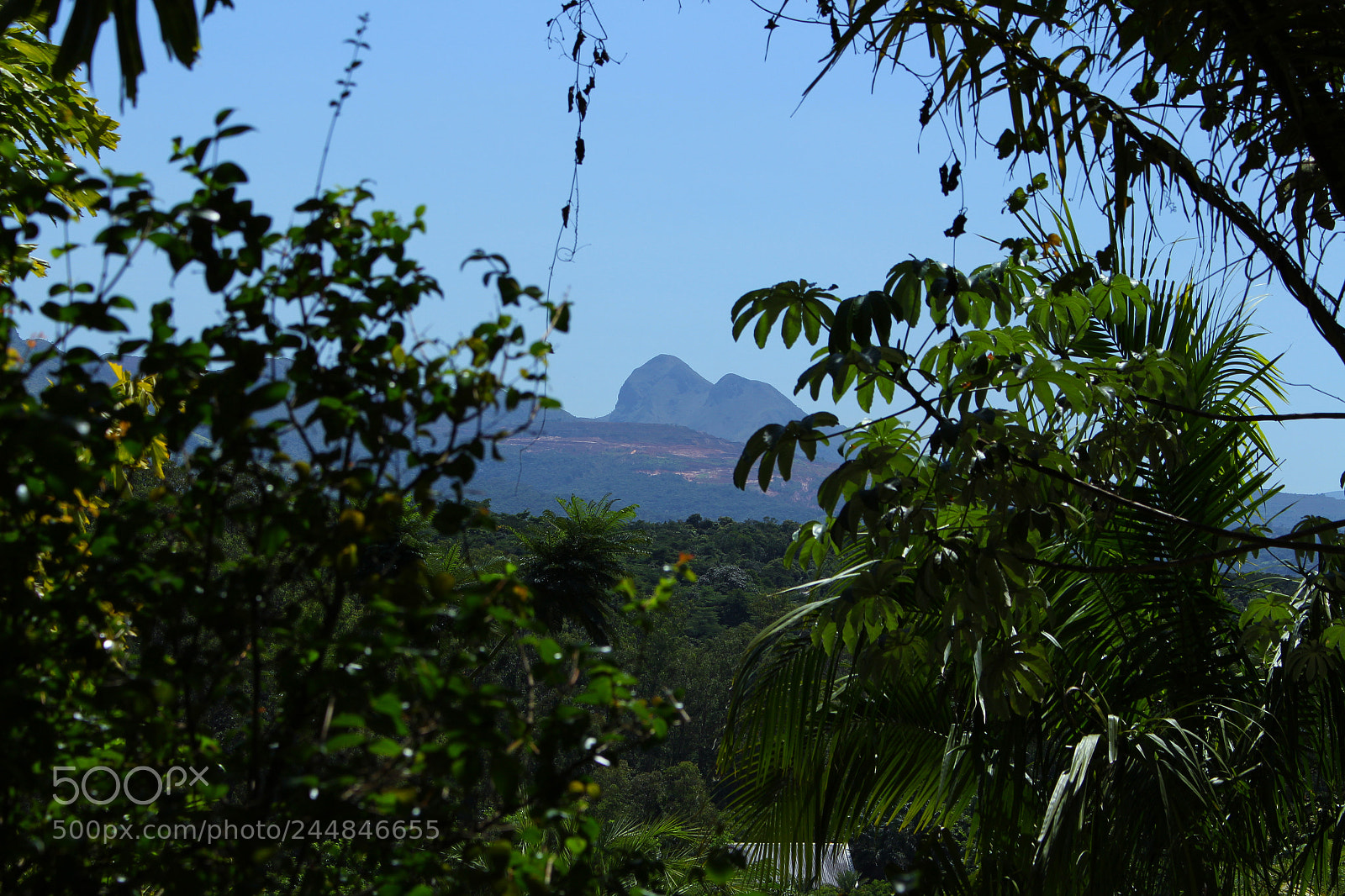 Canon EOS 700D (EOS Rebel T5i / EOS Kiss X7i) sample photo. Img photography