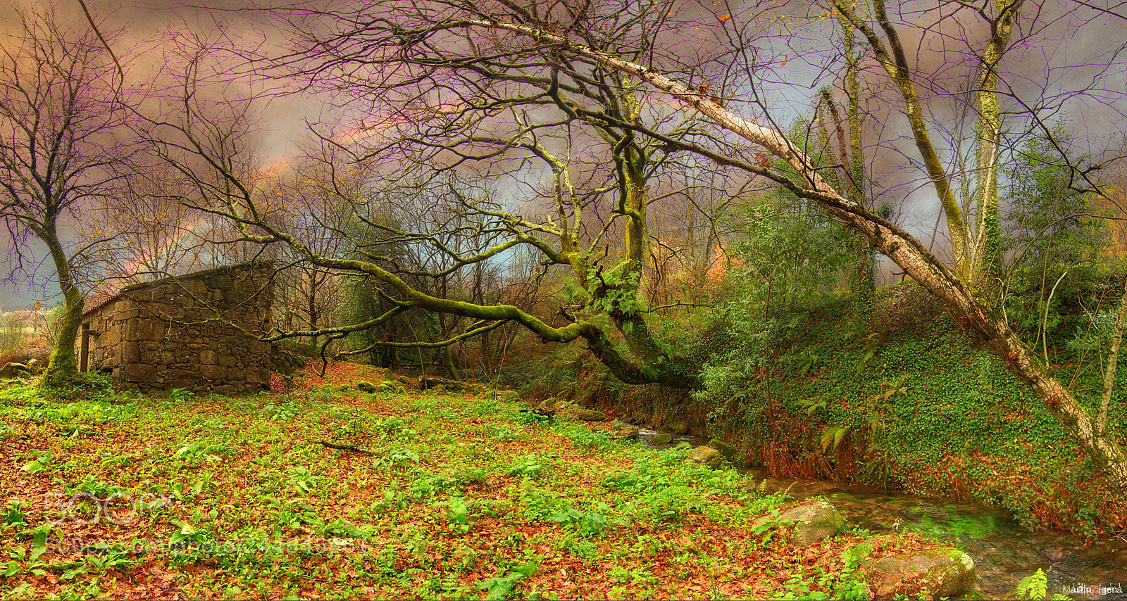 Nikon D7100 sample photo. Colores de invierno ii photography