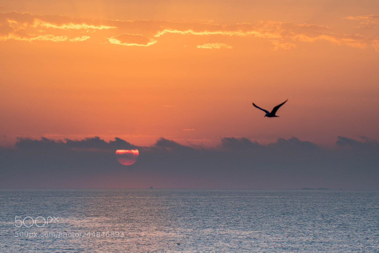 Nikon D500 sample photo. Amanecer en la costa photography