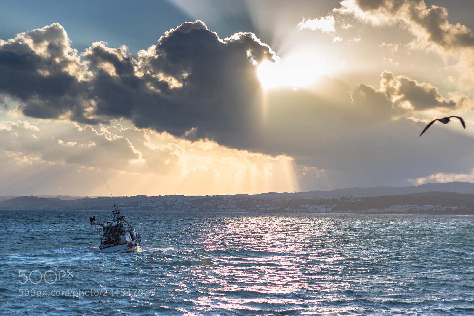 Canon EOS 750D (EOS Rebel T6i / EOS Kiss X8i) sample photo. Boat at sunset photography