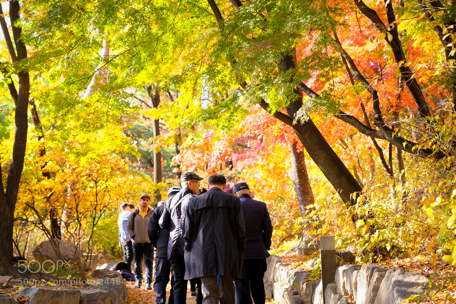 Fujifilm X-T20 sample photo. Men and nature photography