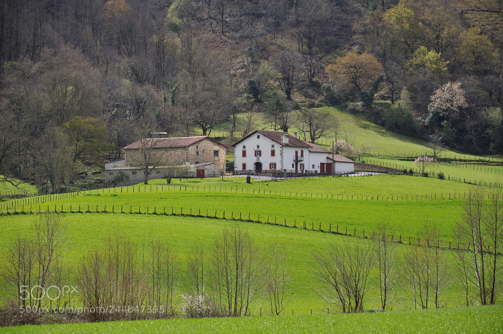 Nikon D90 sample photo. Pays basque photography