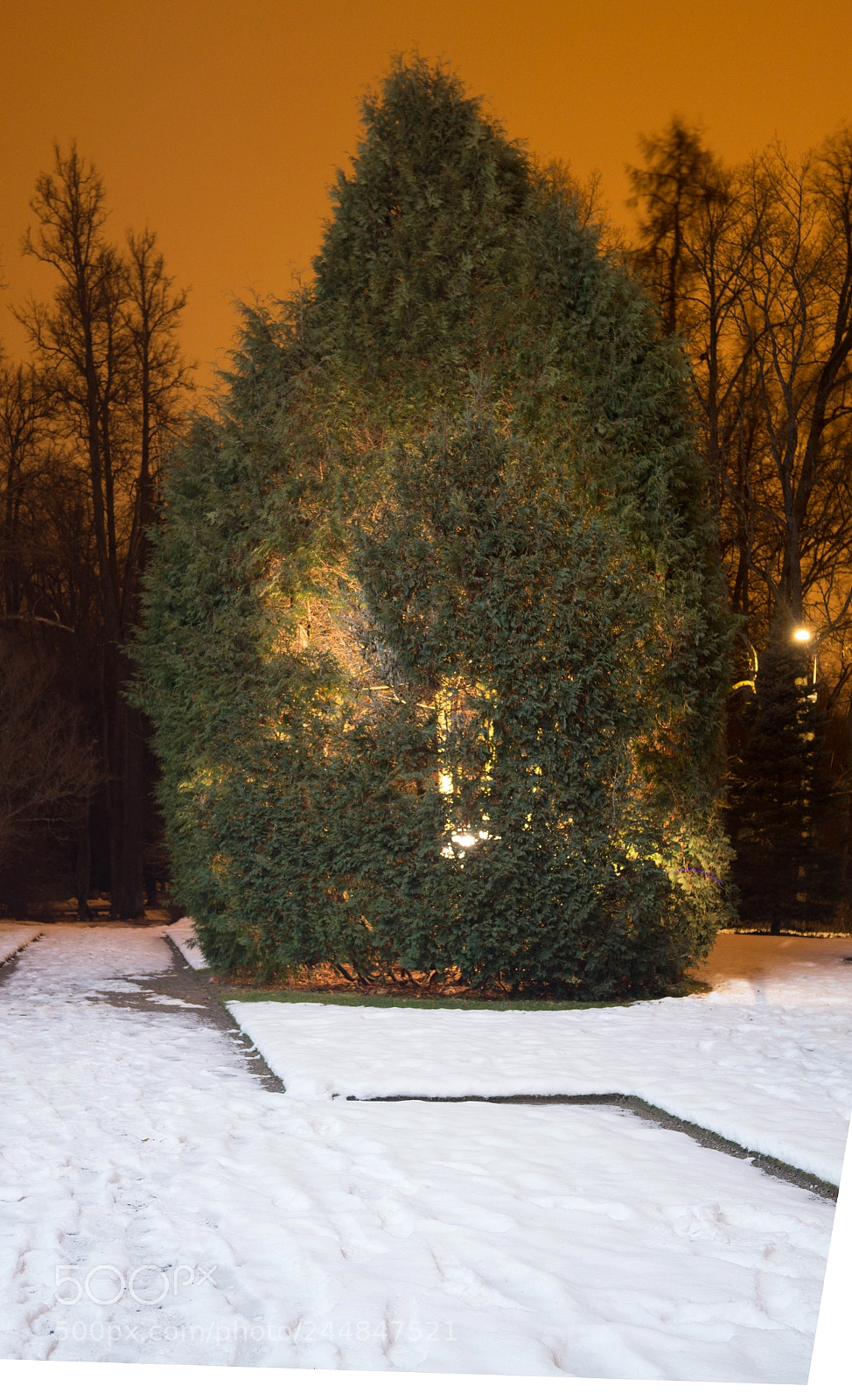 Samsung NX2000 sample photo. Untitled photography