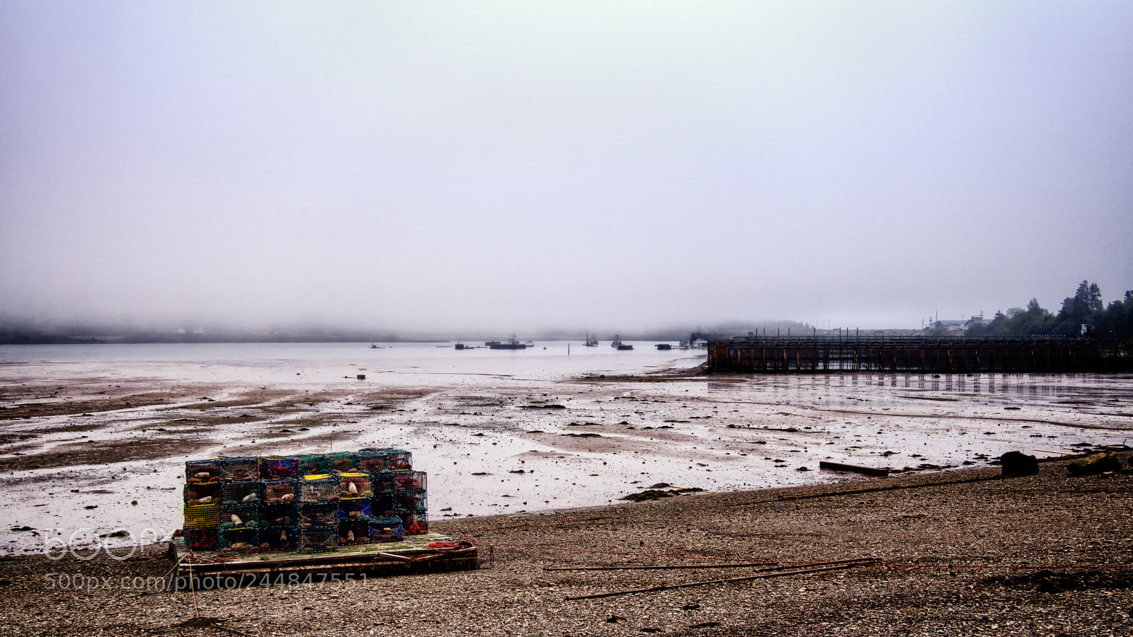 Olympus OM-D E-M5 sample photo. Waiting for the tide photography