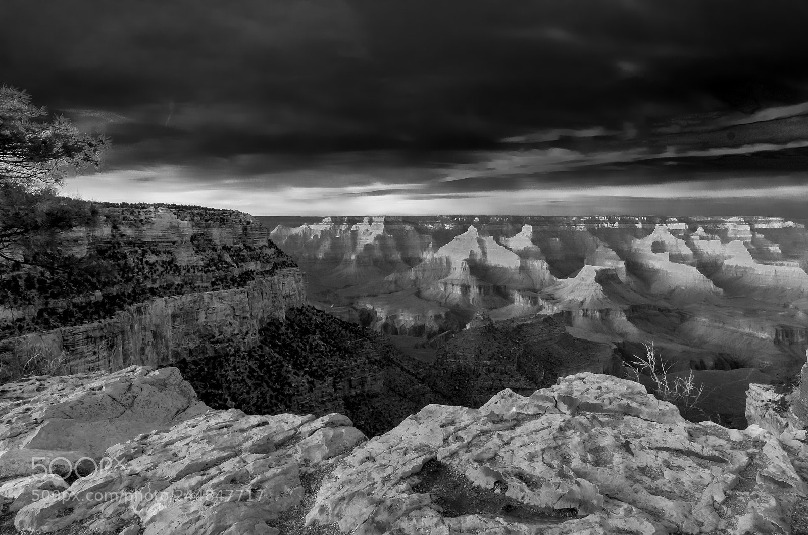 Pentax K-5 sample photo. Light show in monochrome photography