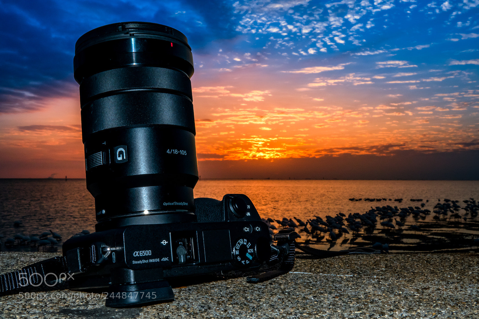 Sony Cyber-shot DSC-RX10 IV sample photo. Sony sunrise photography