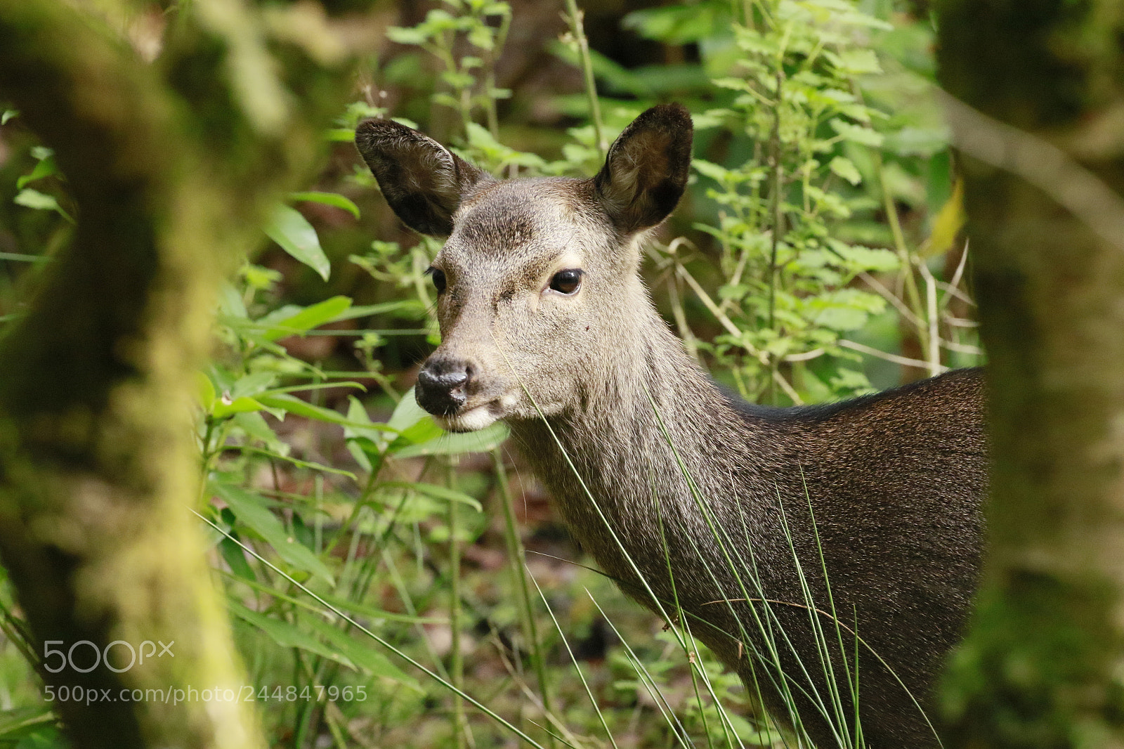 Canon EOS 7D Mark II sample photo. Untitled photography