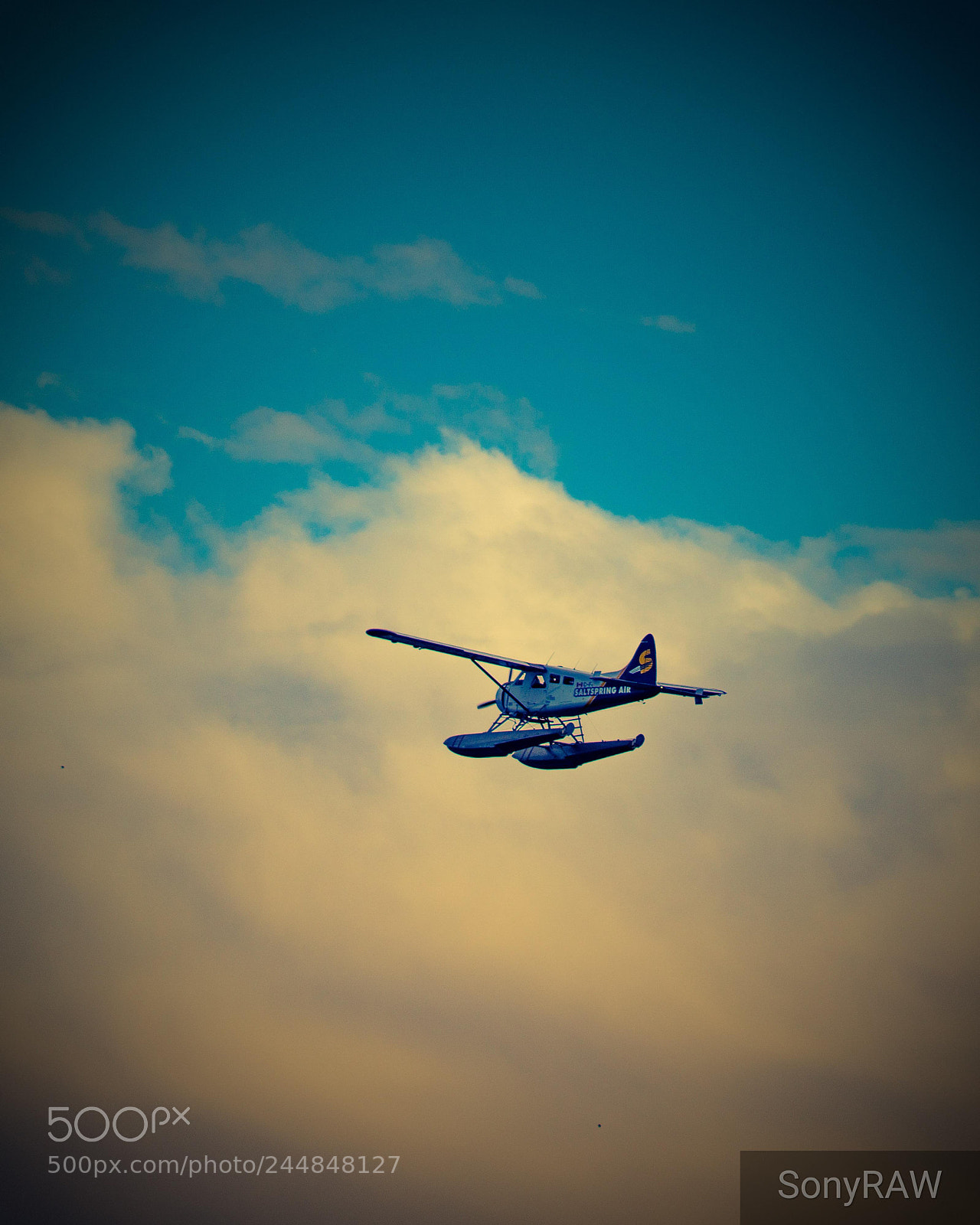 Sony a6500 sample photo. Freedom of flight photography